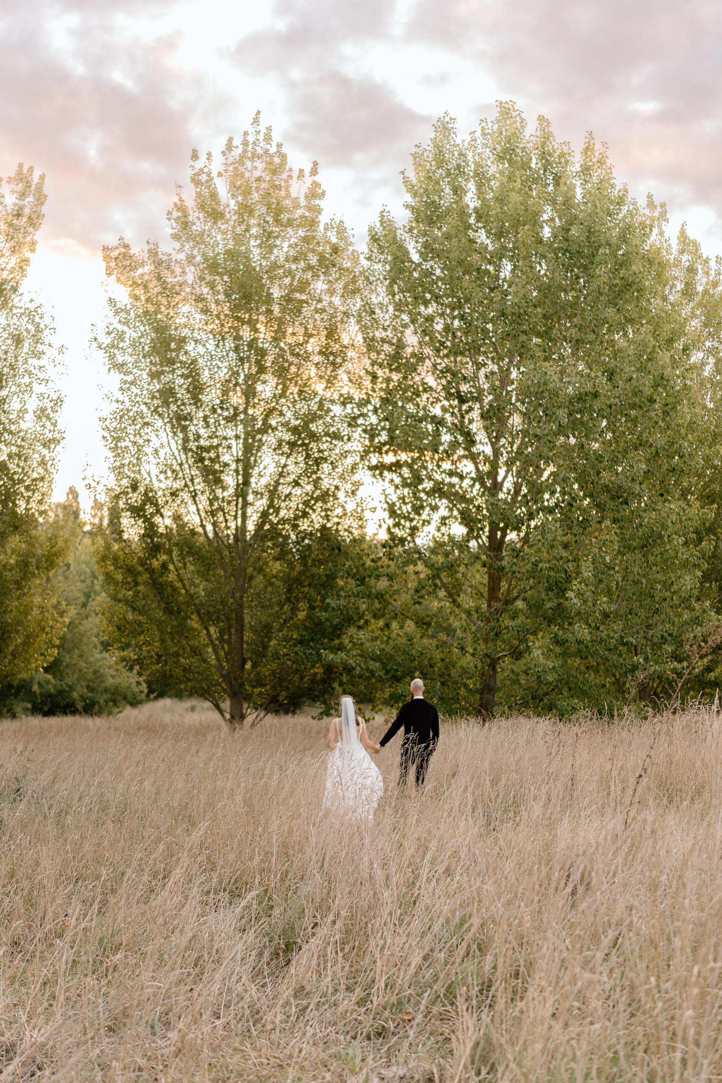 Havelock North Wedding Photographer - Wedding Photographer in Hawkes Bay