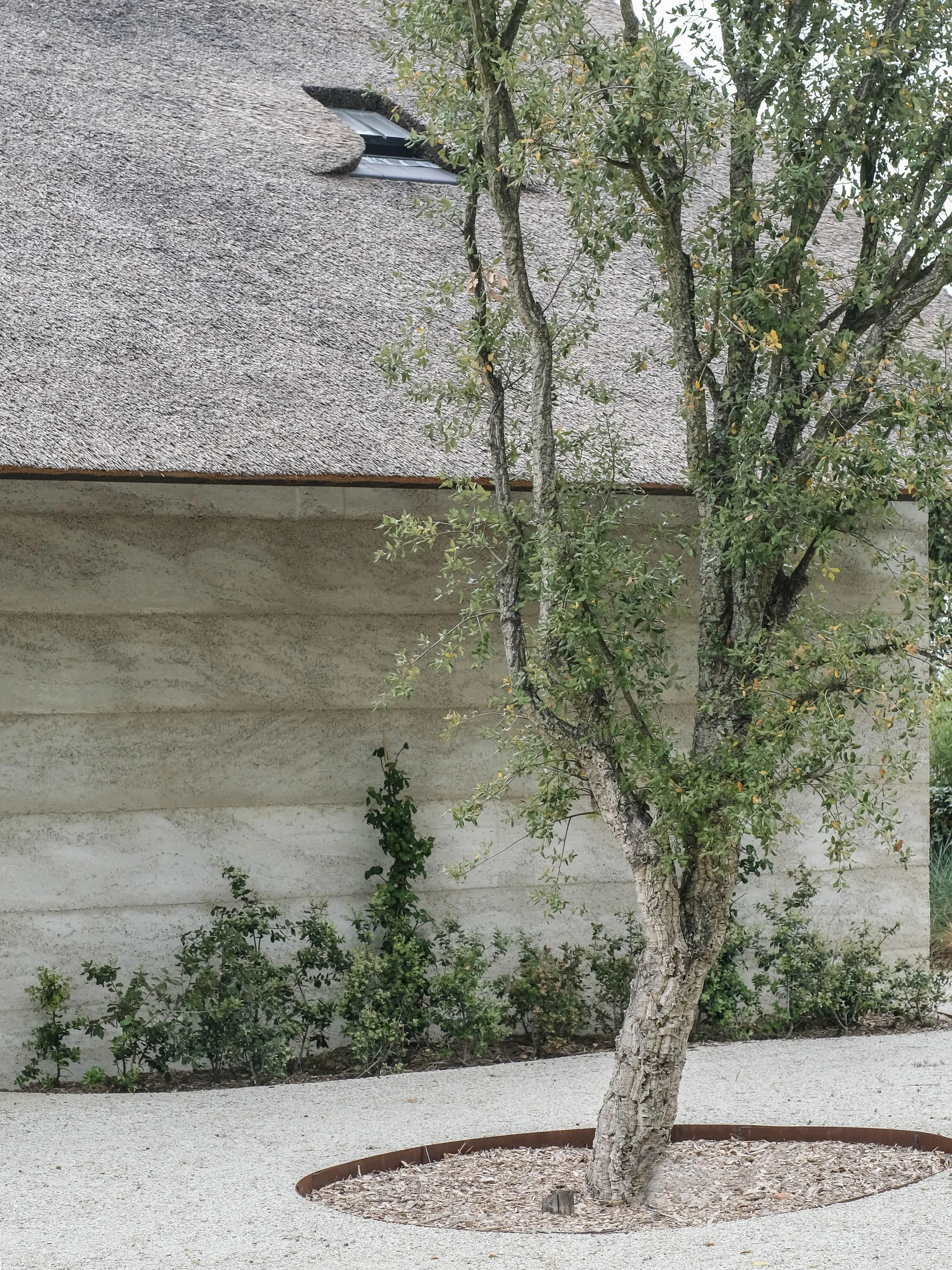 JPV - 2022-05-05-72 aangepast.jpg