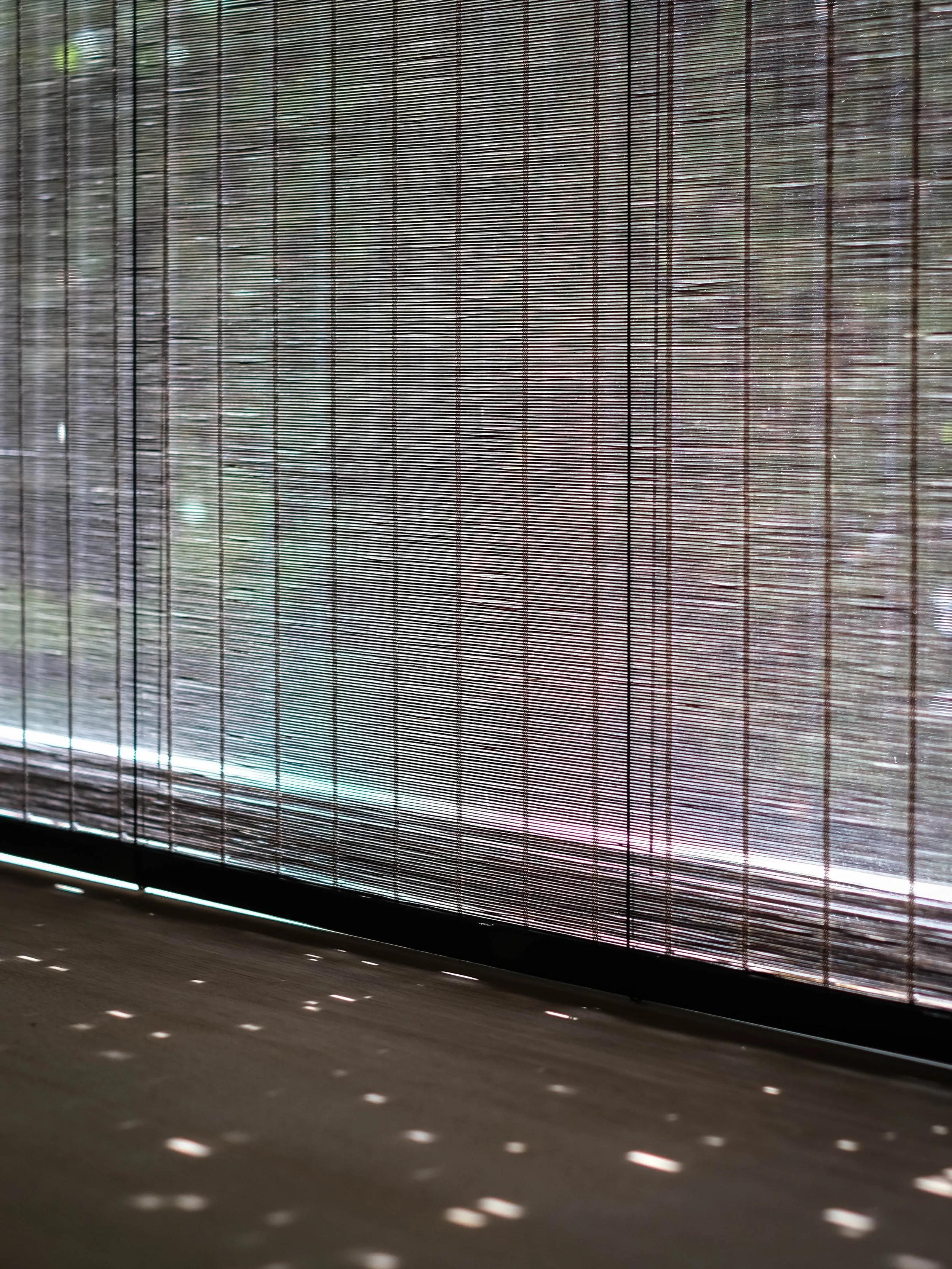 JPV - 2022-06-11-23.jpg