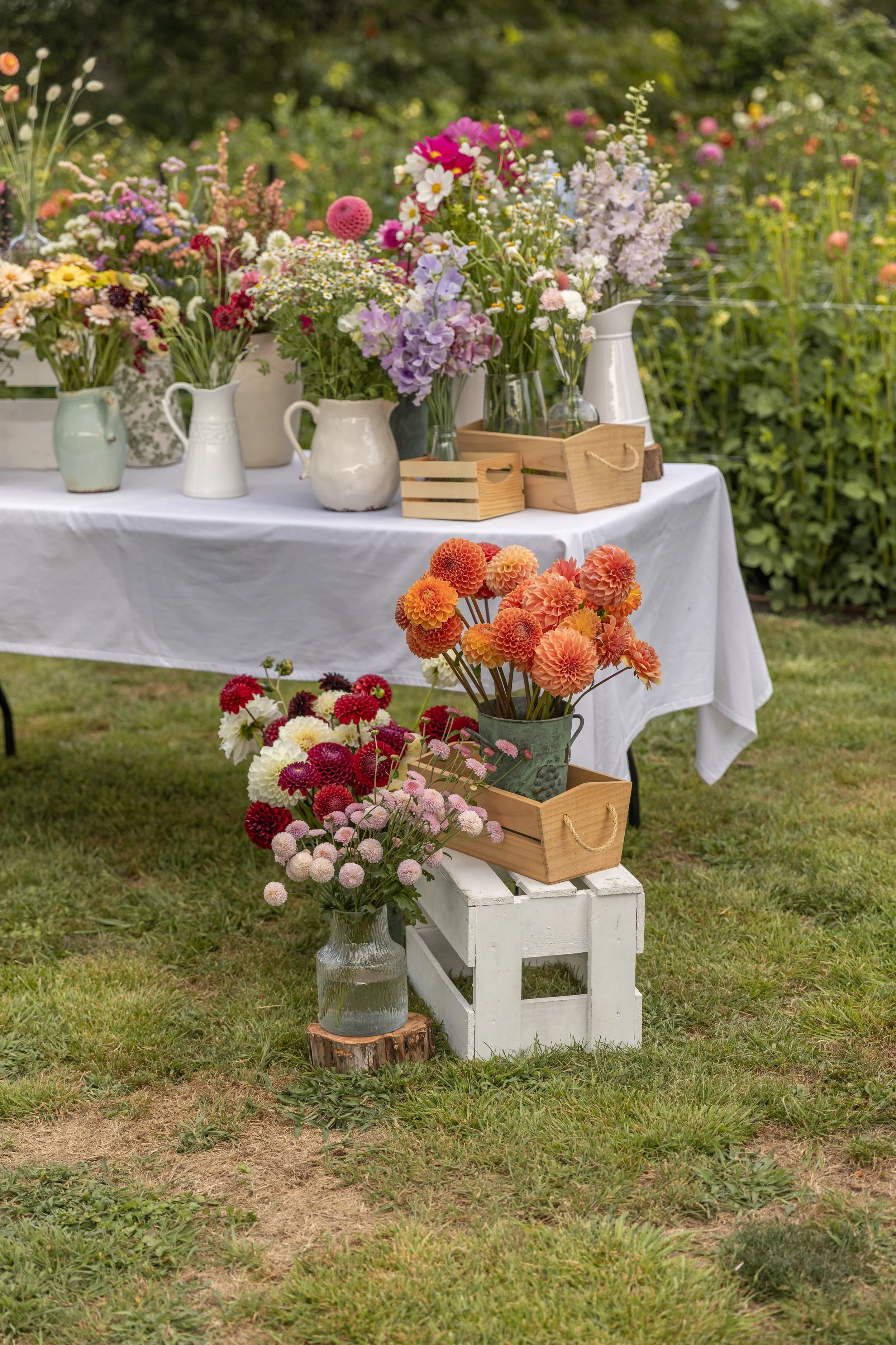 Build a Bunch - 31st Jan