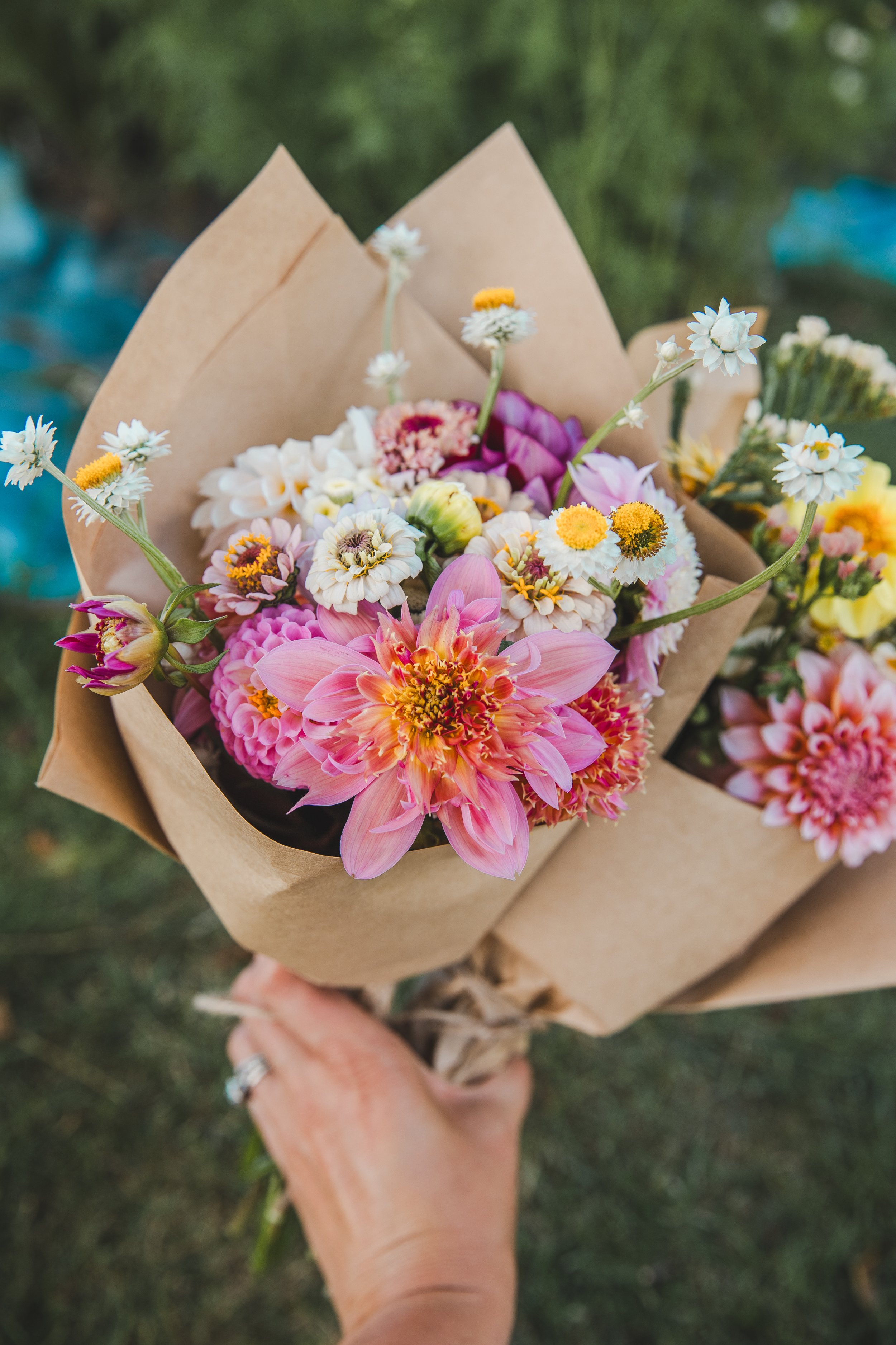 Summer Blooms Subscription - Large