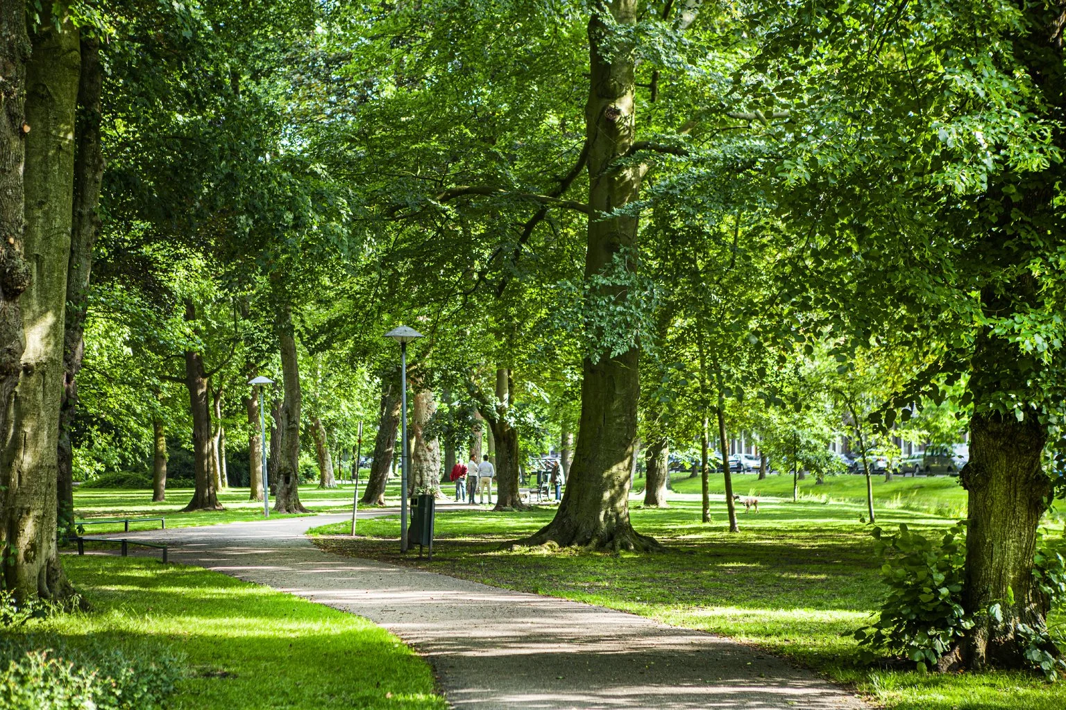 Buitenkansen: Natuur als leeromgeving in het hbo