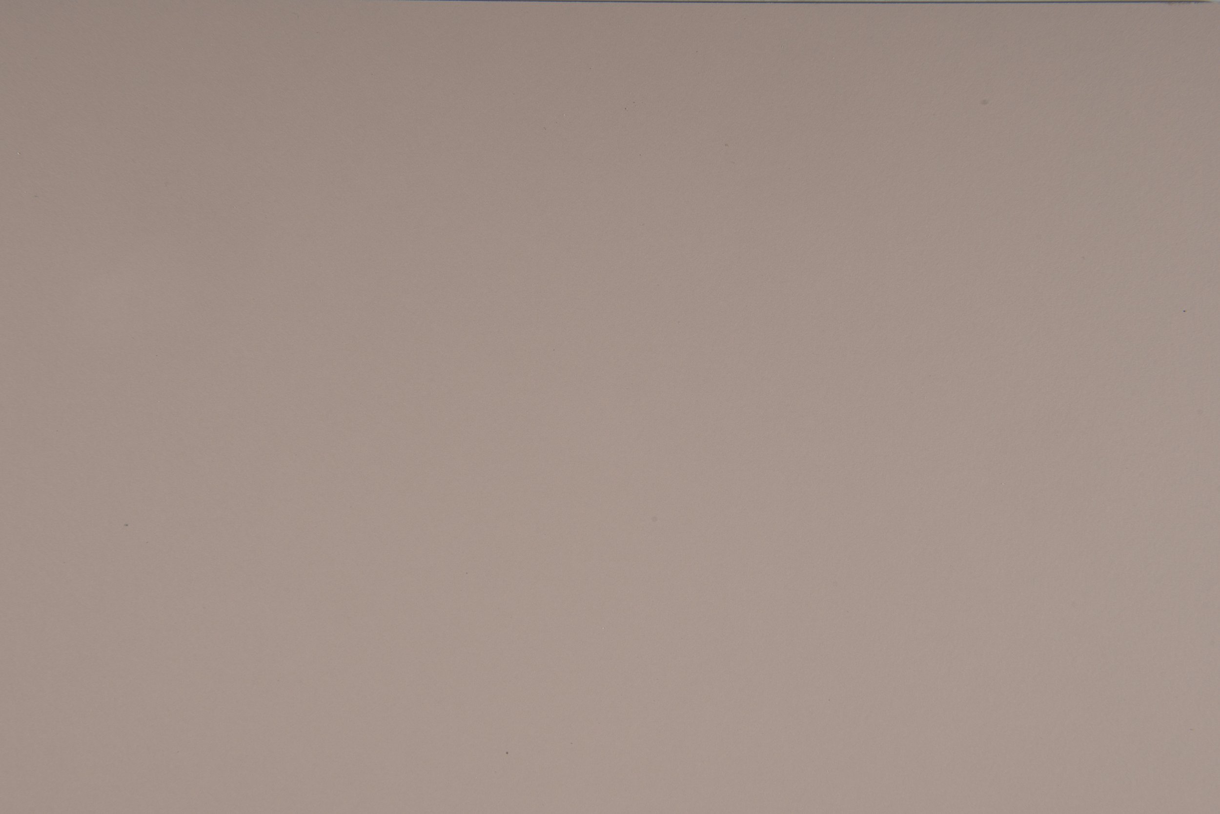 rosa bourbon - 0275.jpg