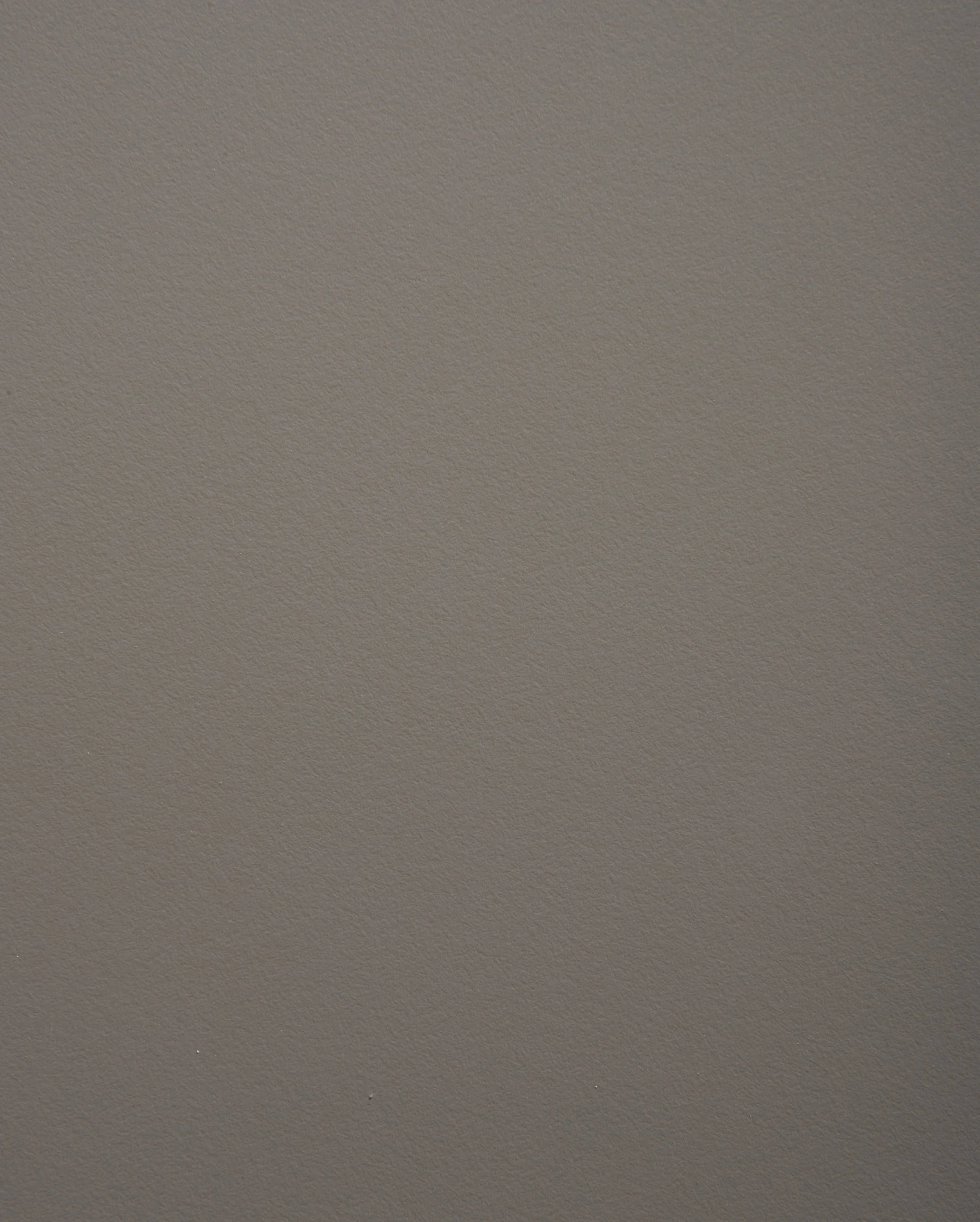 castoro fiber - 0735.jpg