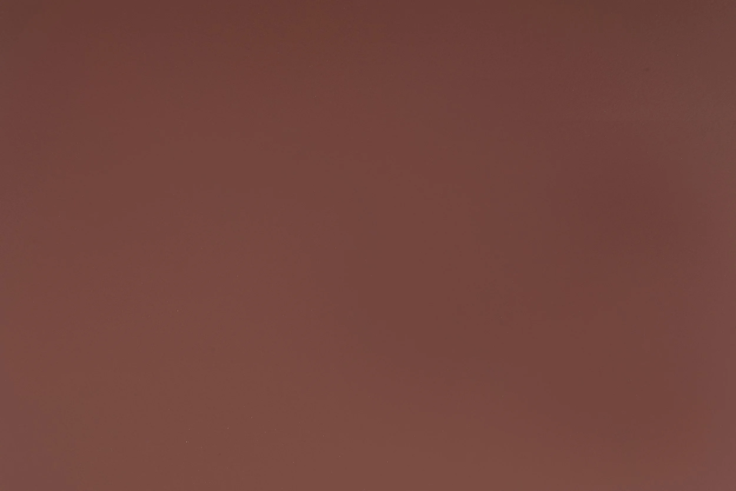 rosa shade - 0779.jpg