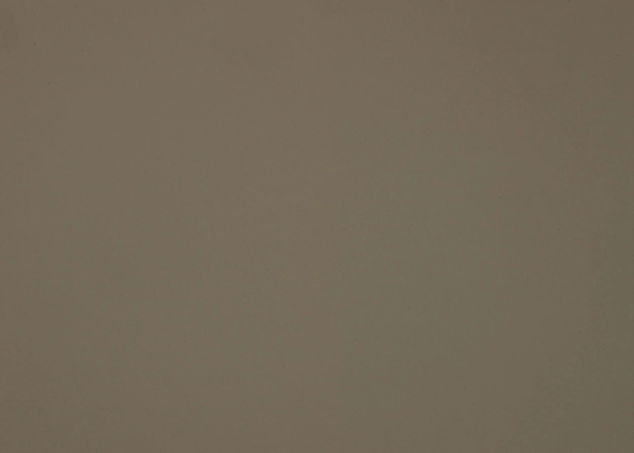 castoro ottawa - 0717.jpg.jpeg