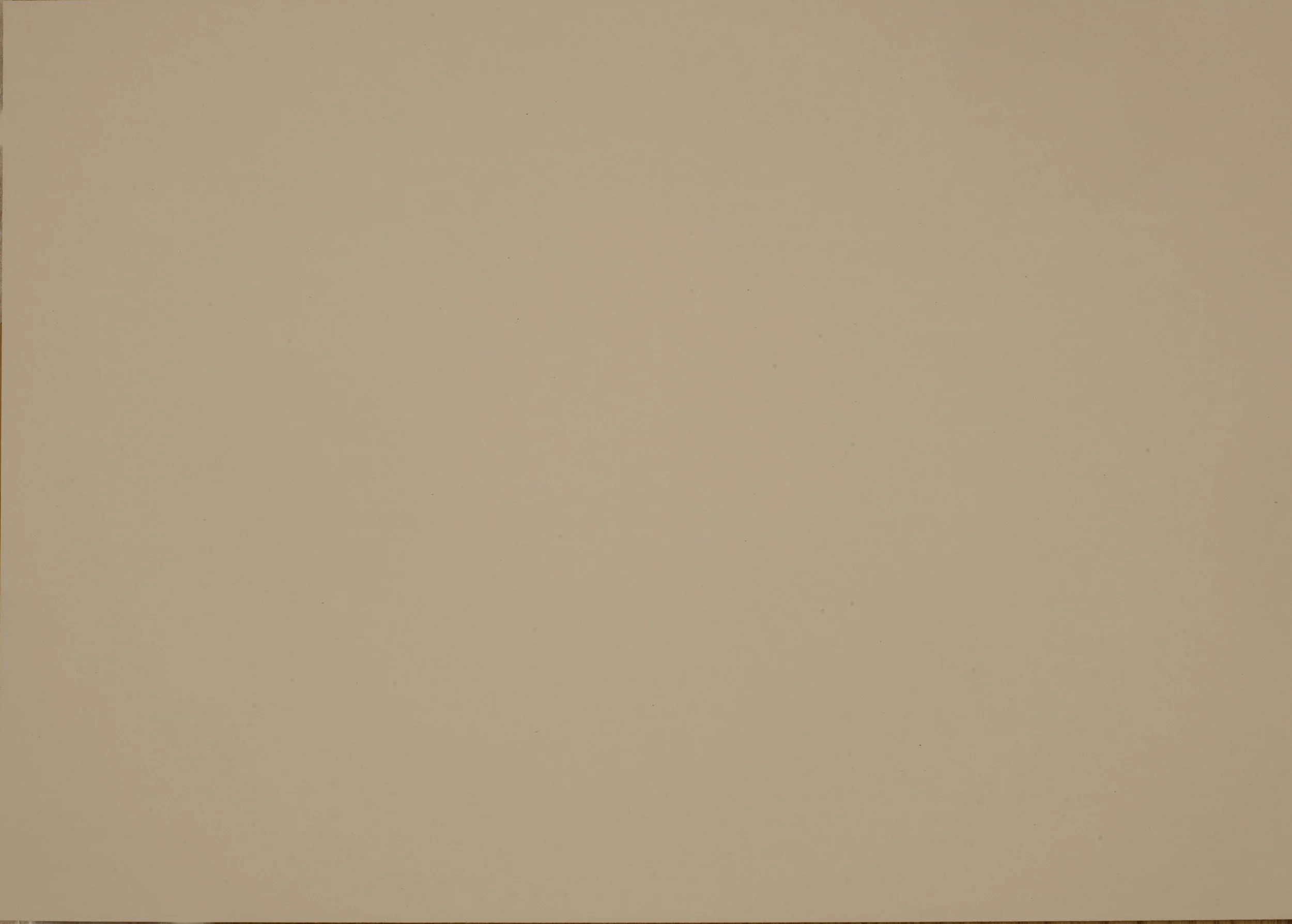 beige luxor - 0719.jpeg