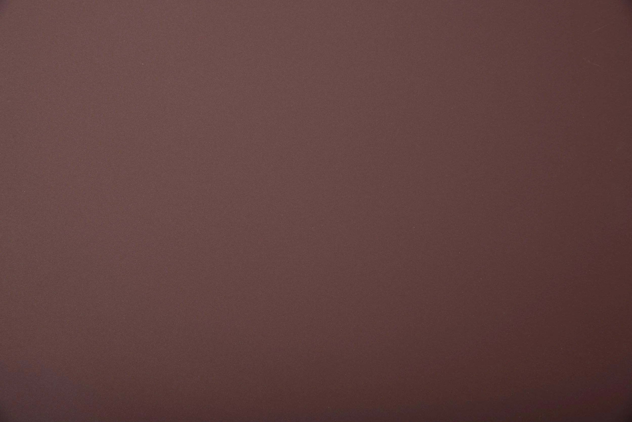 rosso jaipur - 0751.jpeg