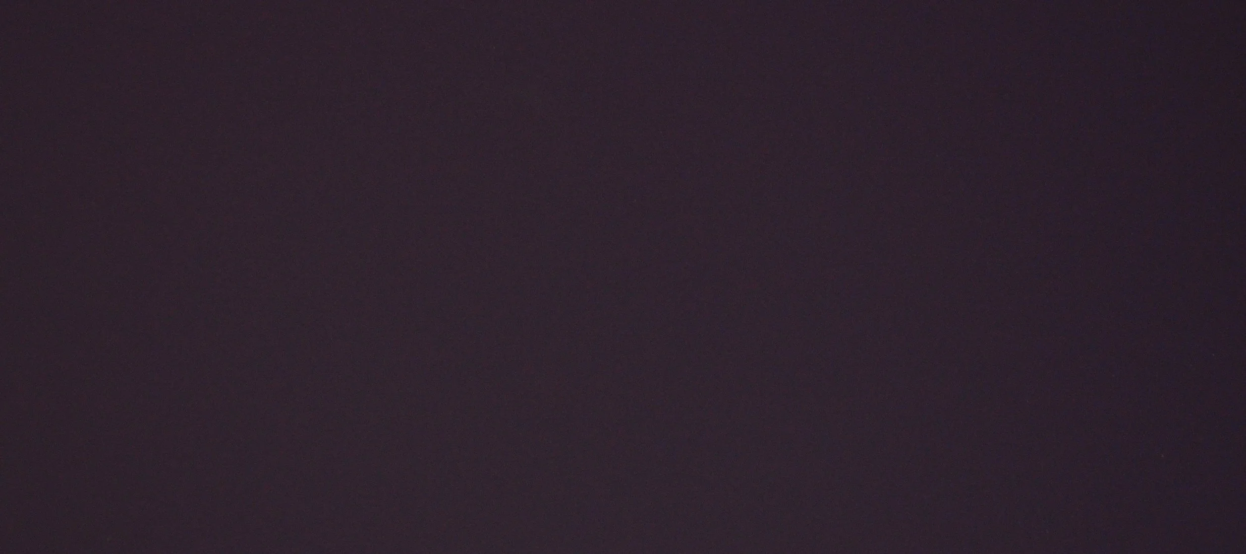 viola orissa - 0790.jpeg