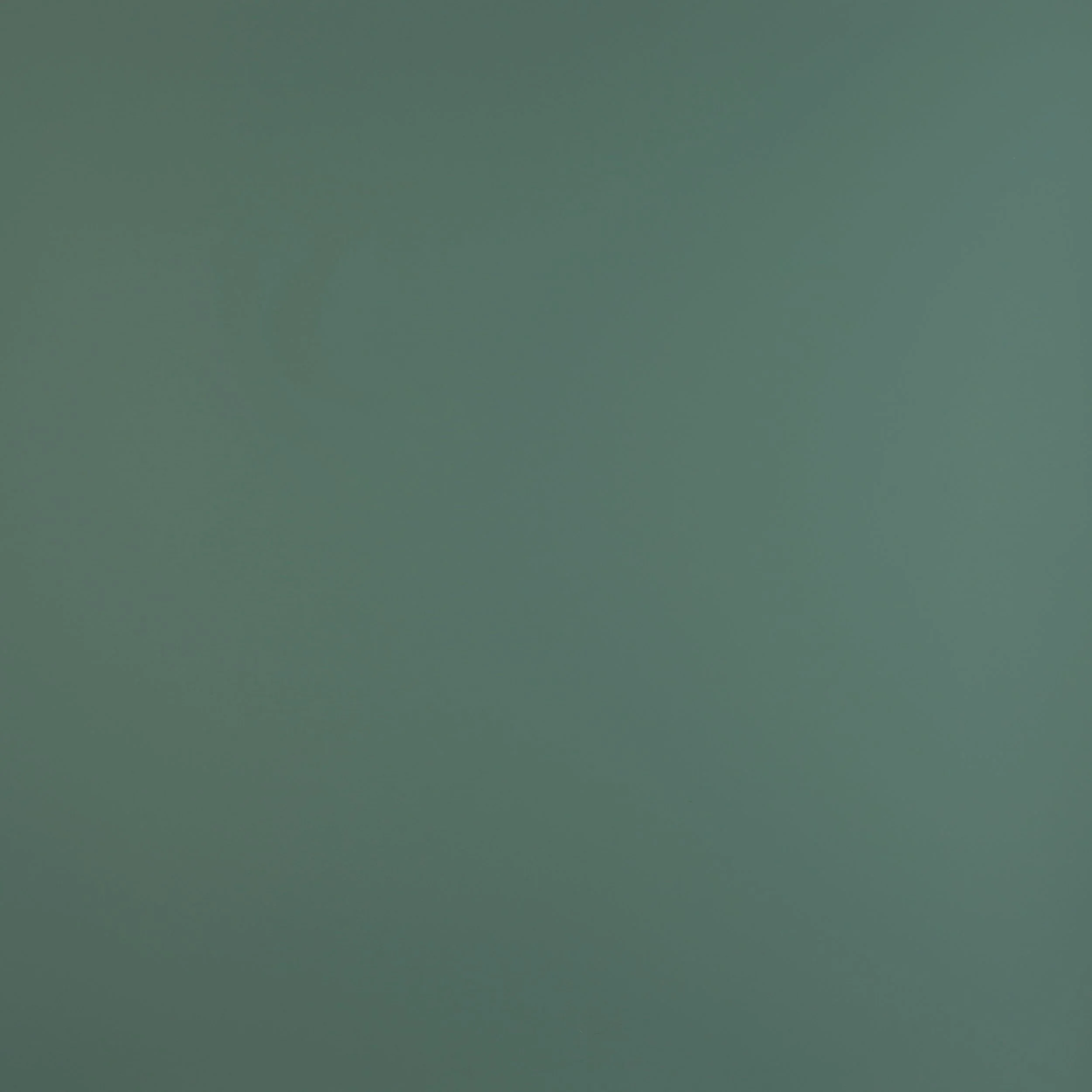 verde brac - 0773.jpeg