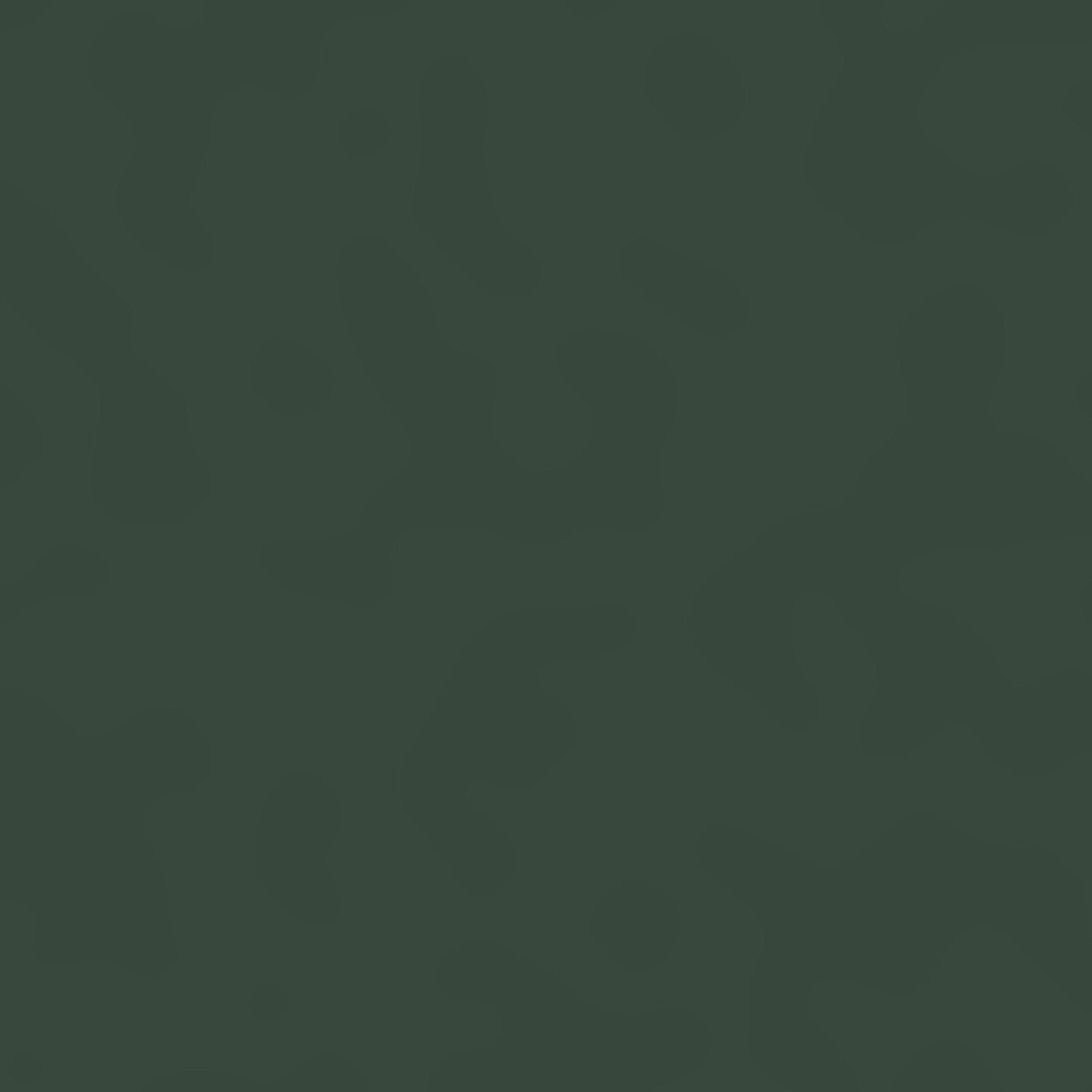 labrador - U19008.jpg