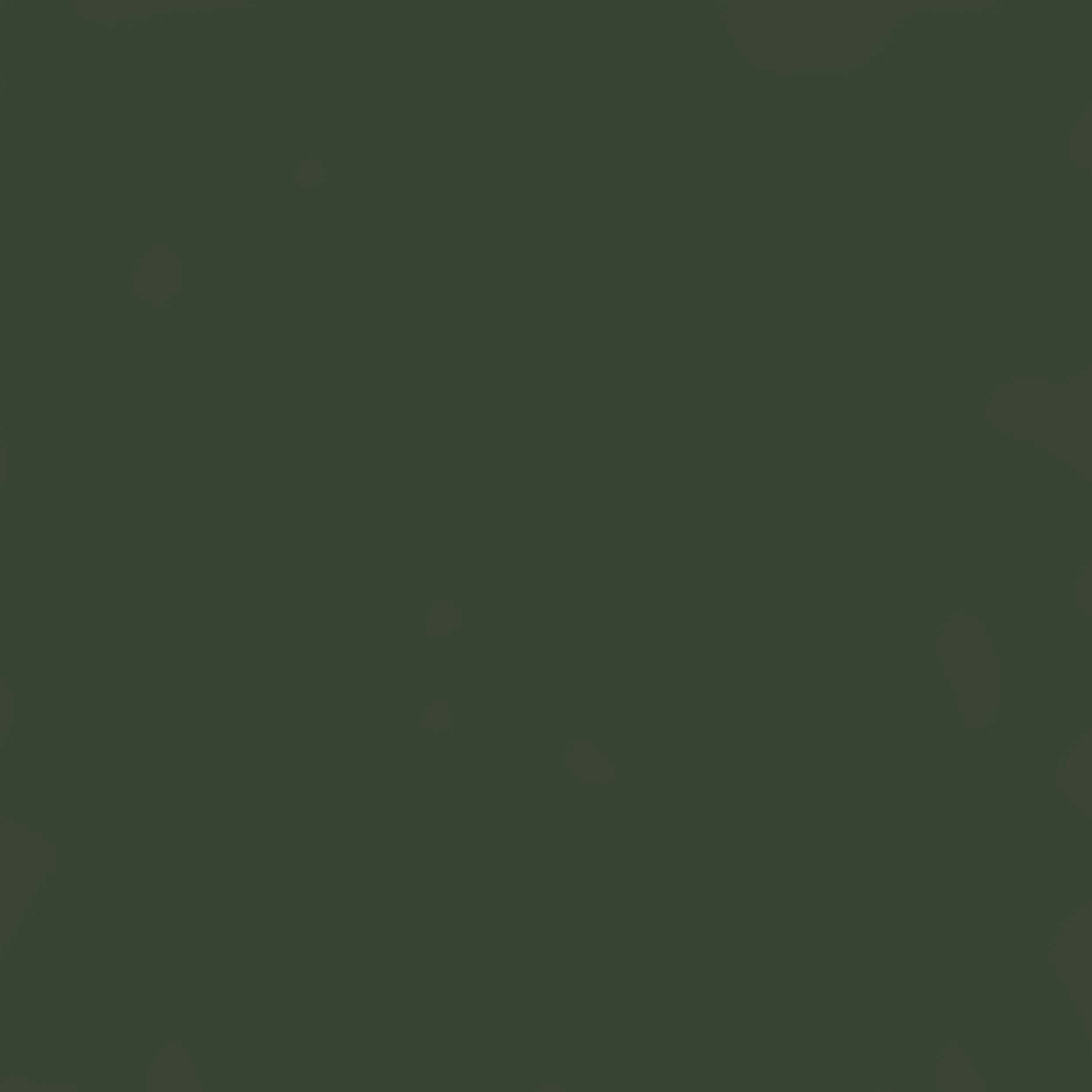 zucchini - U19504.jpg