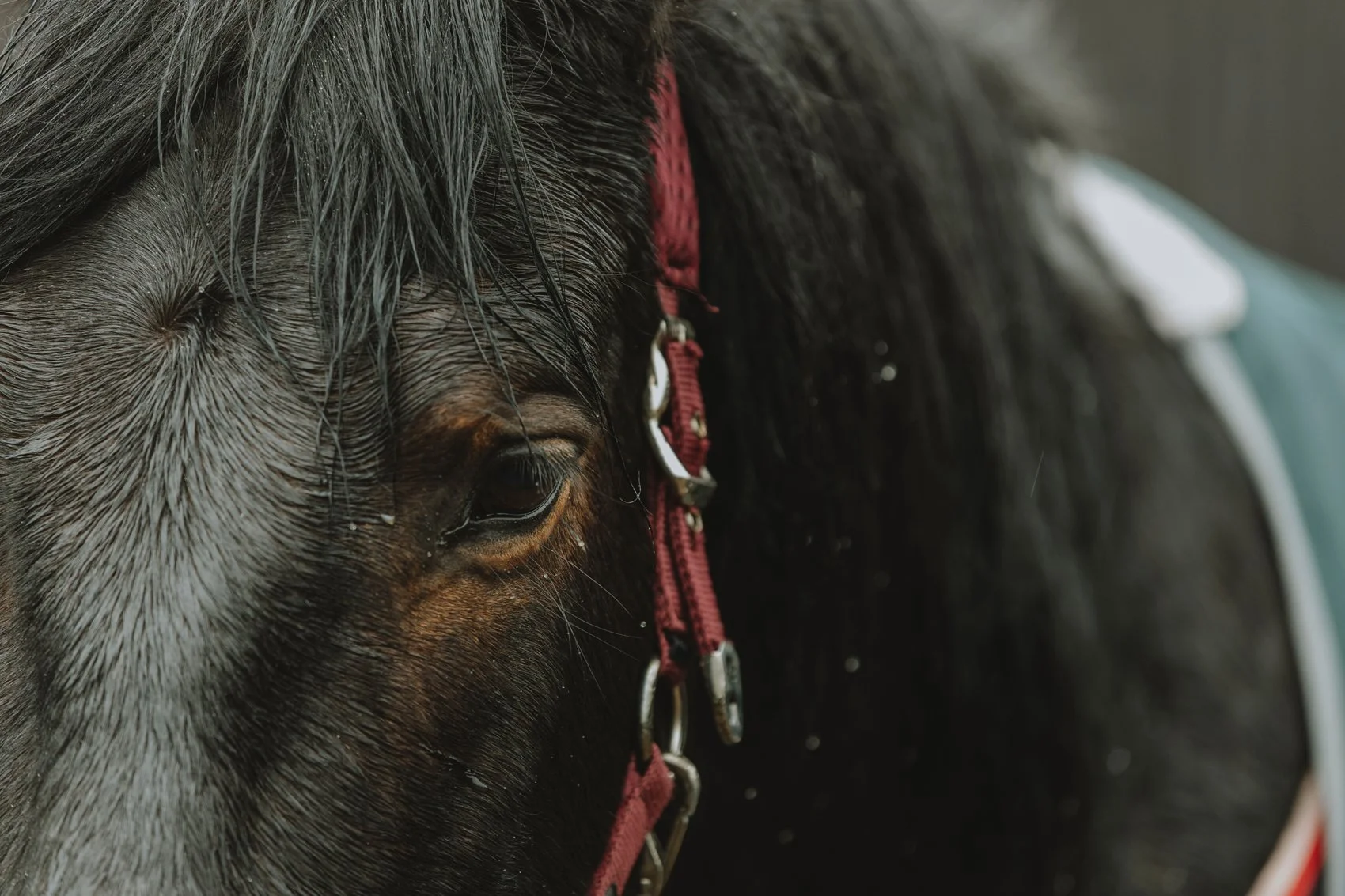 STILLS Nightmare_3.2.26_023.JPG