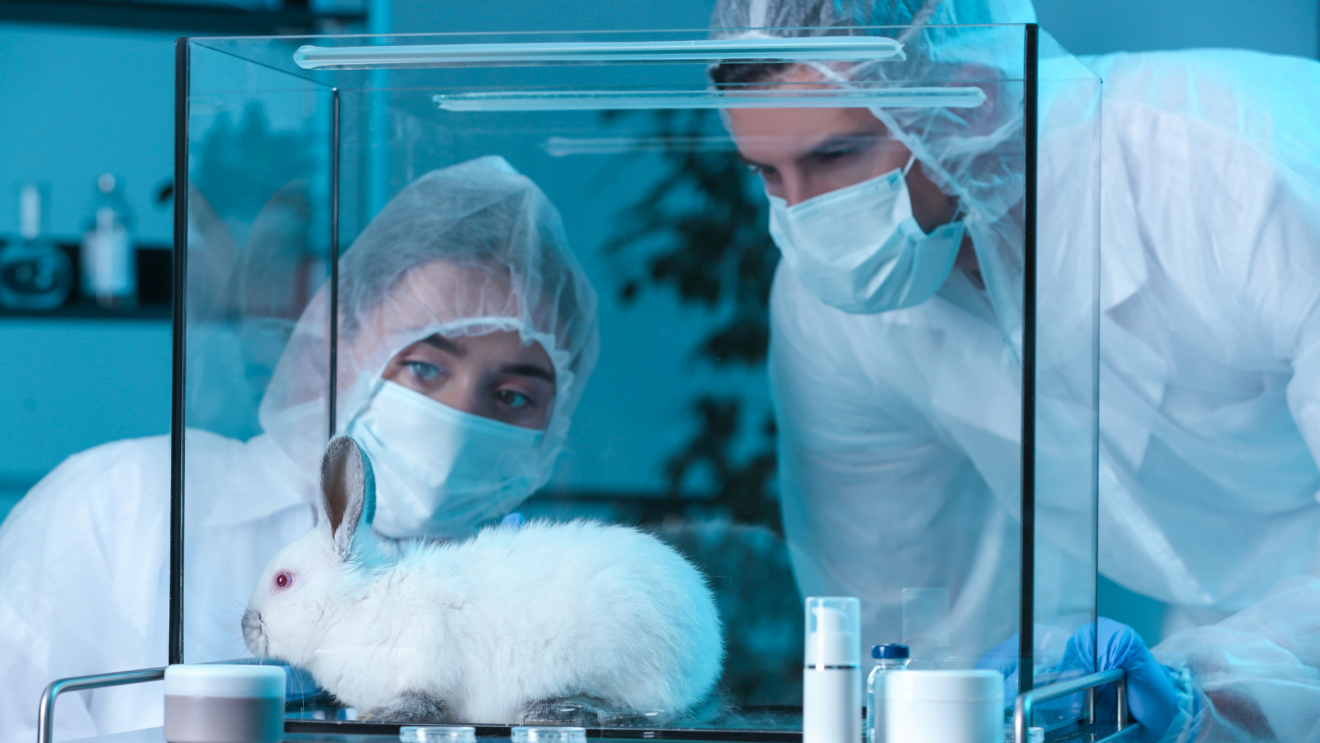 Organoids and Organ-on-a-Chip: The Technologies Replacing Animal Testing