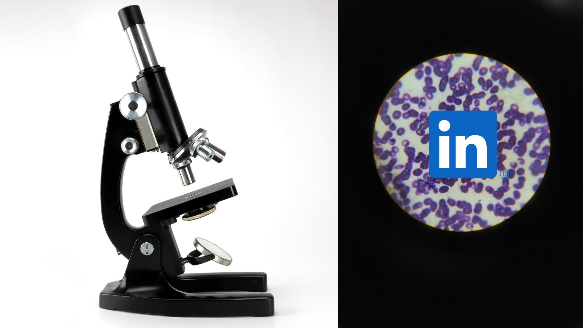 Split image showing a laboratory microscope and a microscopic field overlaid with the LinkedIn logo, symbolizing LinkedIn as a key tool for life science professionals to share and communicate their work
