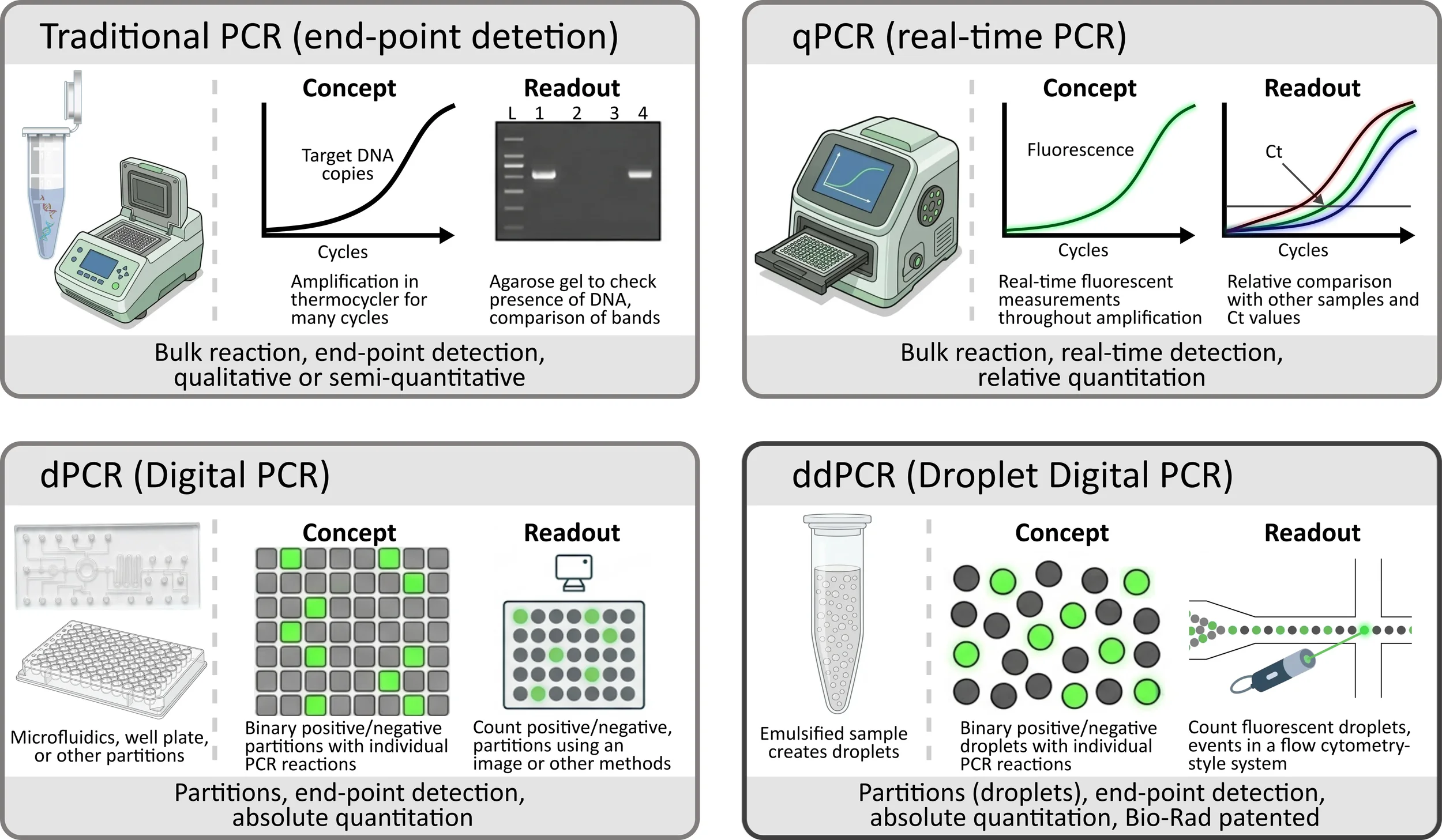 Technical infographic comparing PCR methodologies – Traditional PCR, qPCR, digital PCR and ddPCR – created by Helixa Communications for BioCompare and SeqAnswers