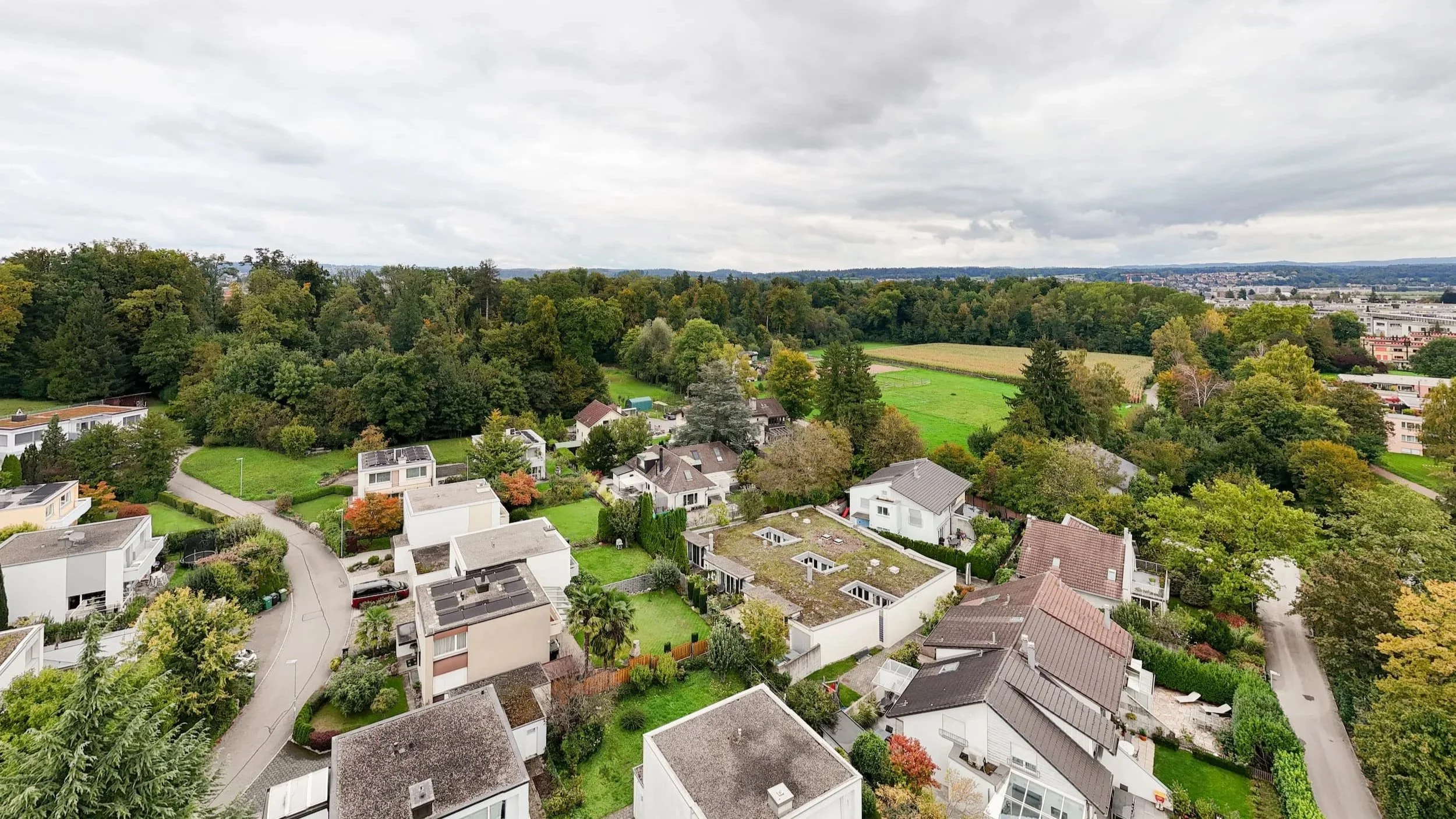 Ansicht eines Wohnviertels mit mehreren Häusern, Gärten und umgeben von vielen Bäumen unter einem bewölkten Himmel.