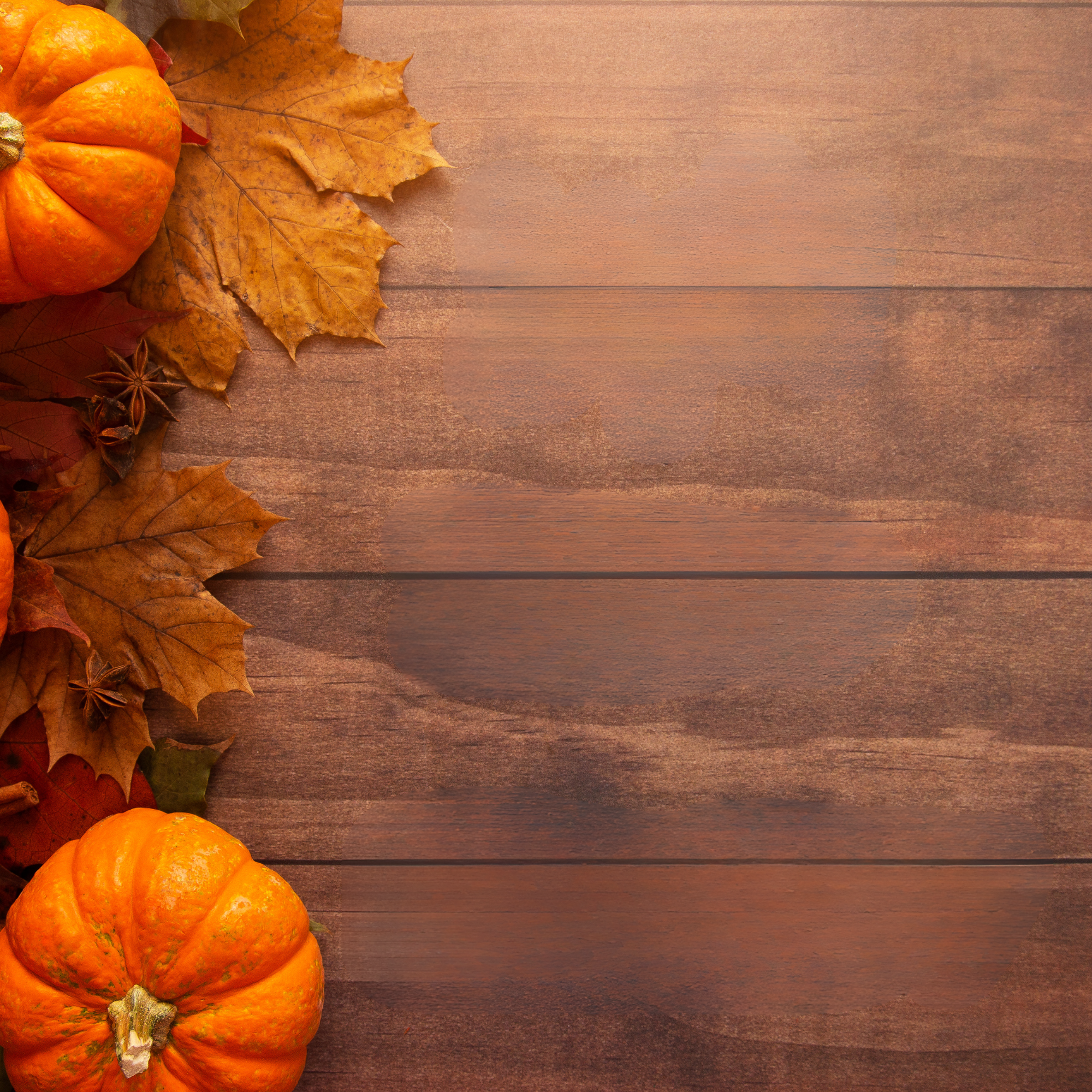 Fall Into Flavor: What We're Cooking This September