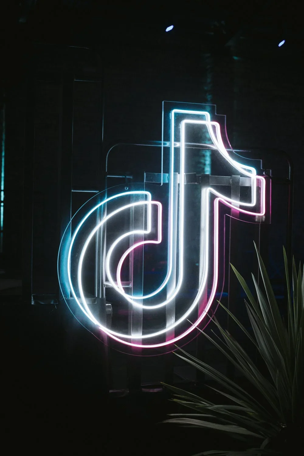 Neon sign of the TikTok logo in blue, pink, and white colors on a dark background, with some green plant leaves visible in the lower right corner.