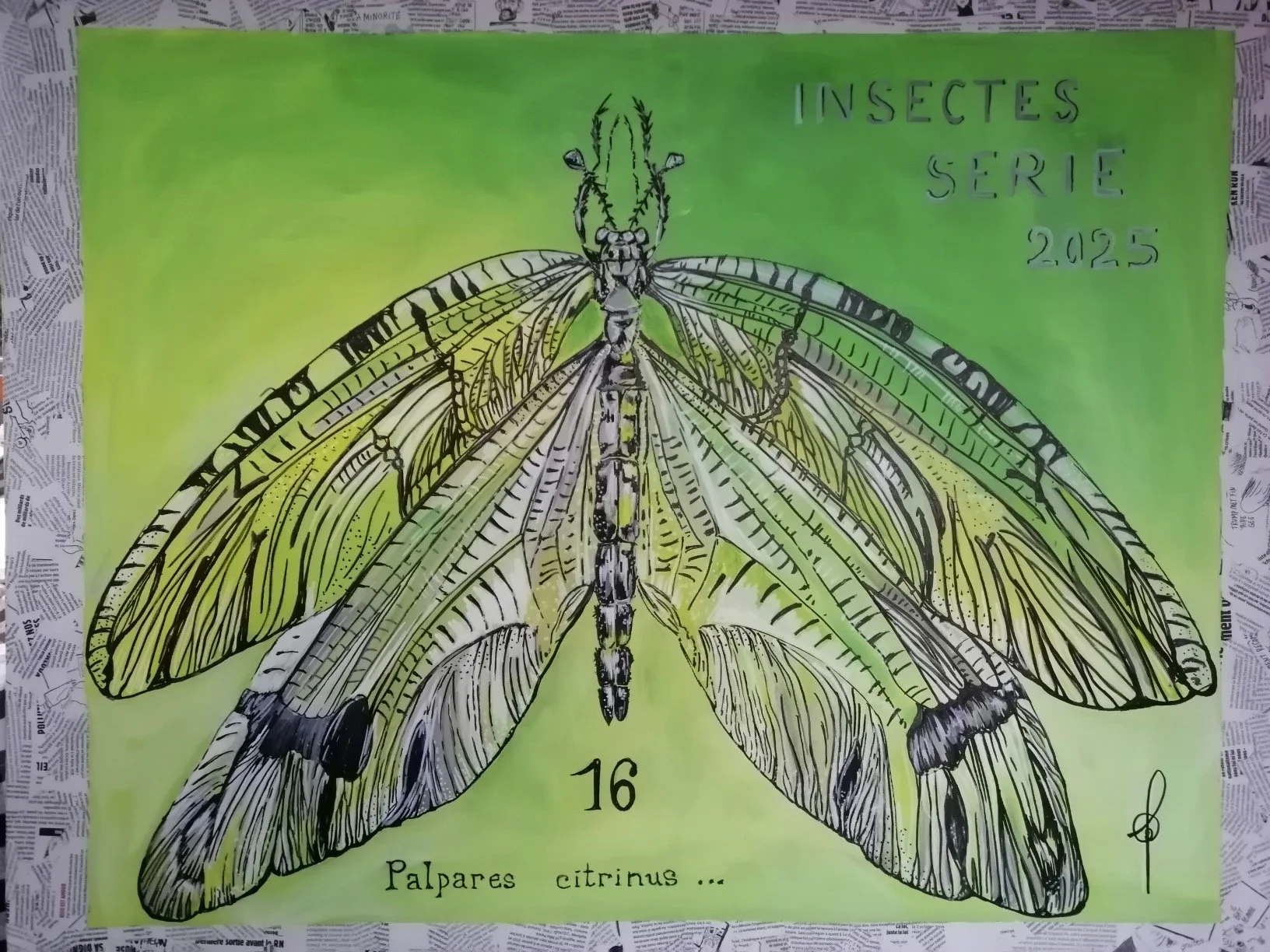 palpares citrinus.jpg