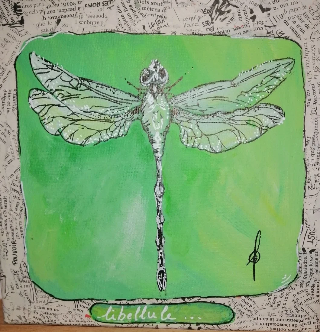 libellule.jpg