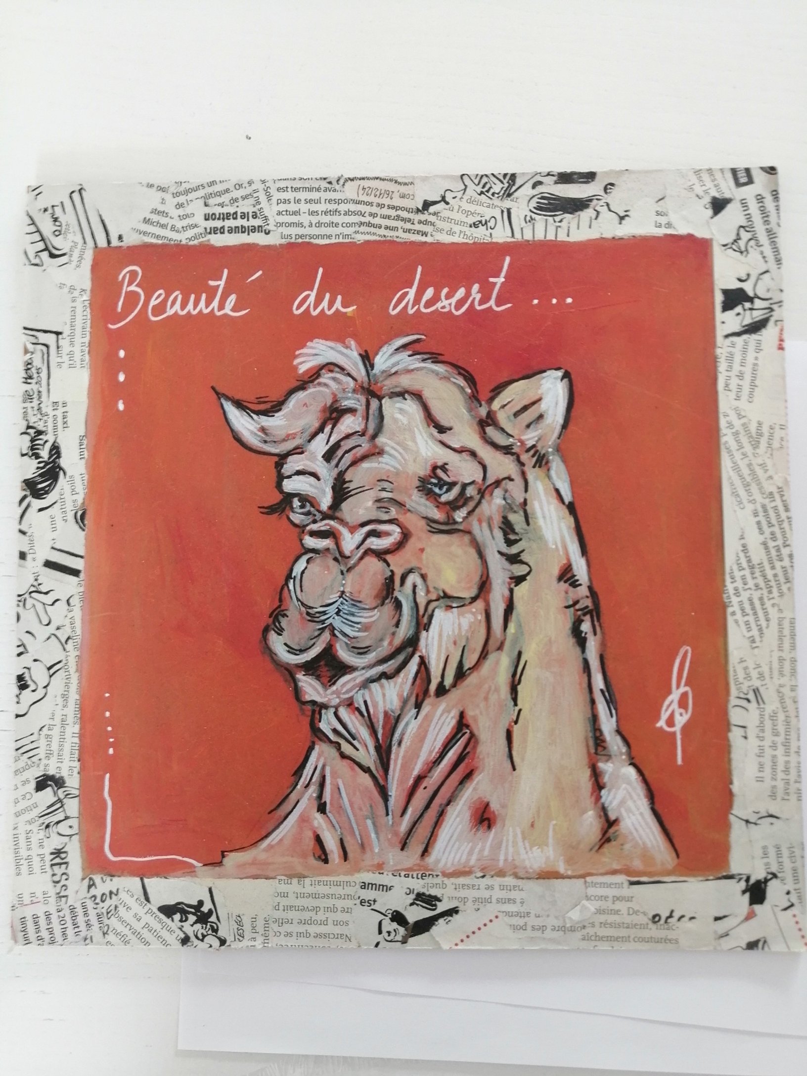 beauté du désert.jpg