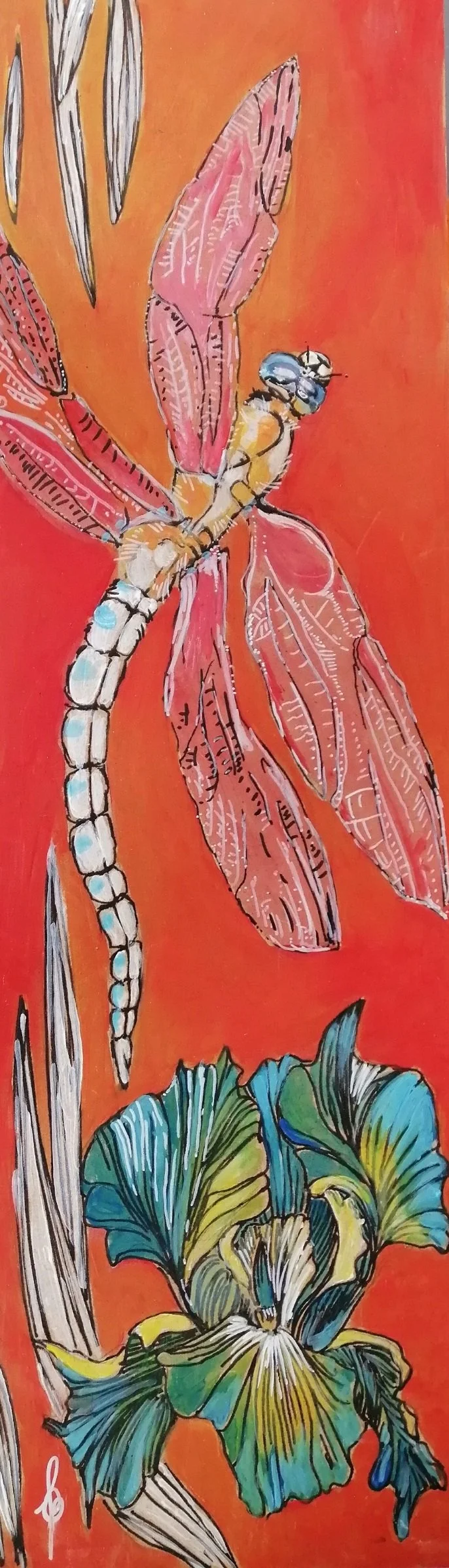 libellule fond rouge 1.jpg