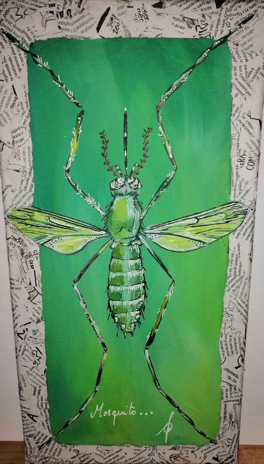 moustique .jpg