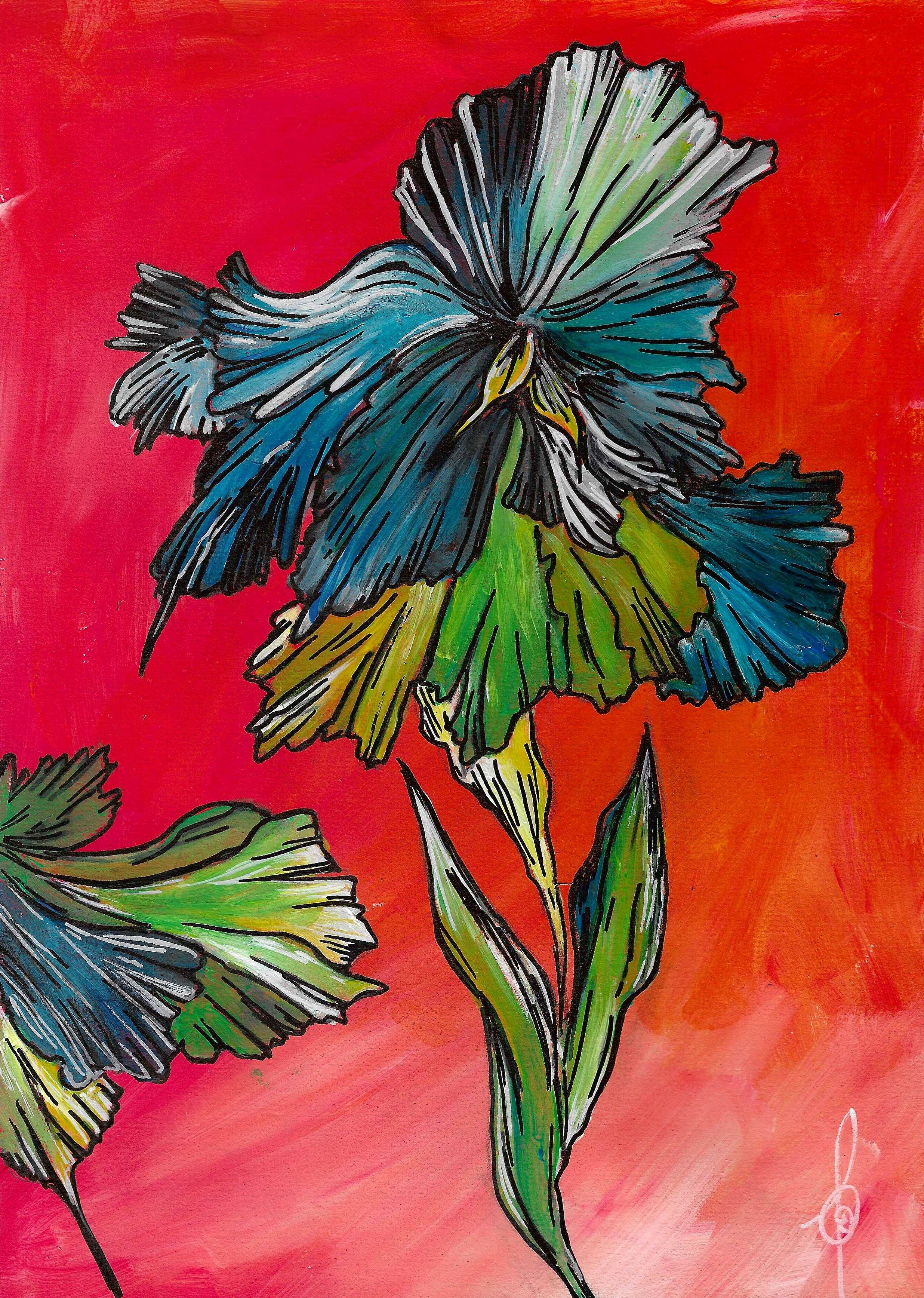 iris fond rouge numerise.jpg