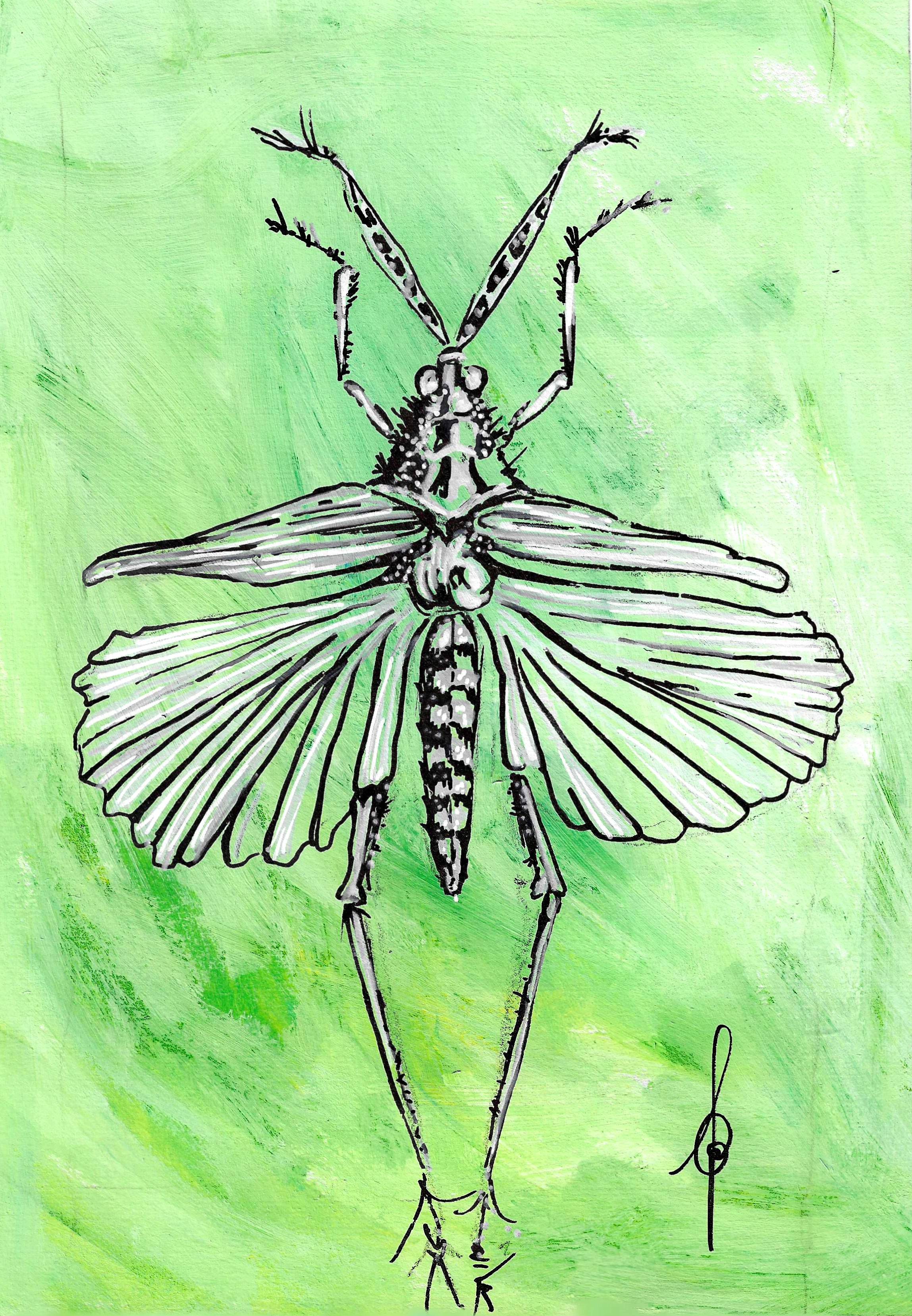 insecte sur fond vert.png