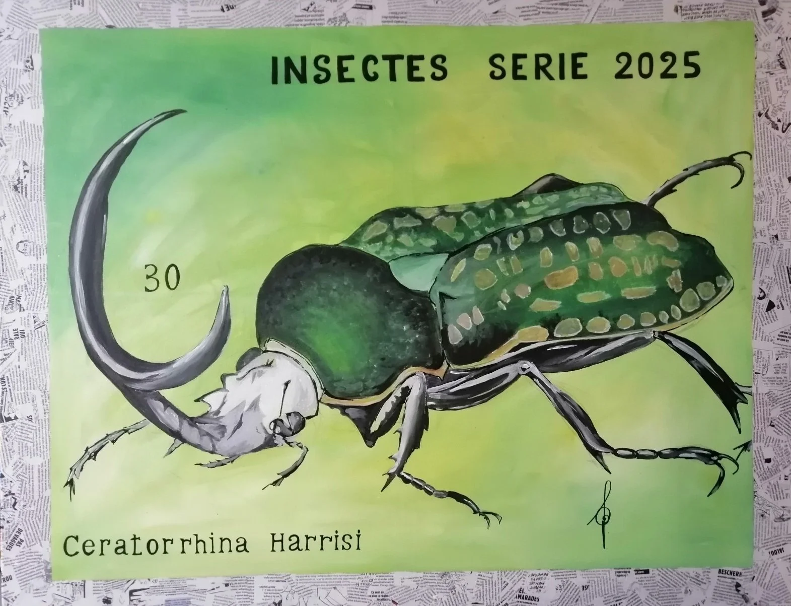 ceratorrhina harrisi.jpg