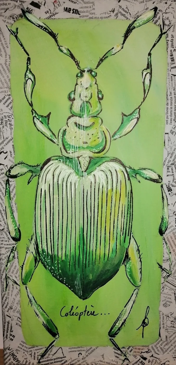 coleoptere.jpg