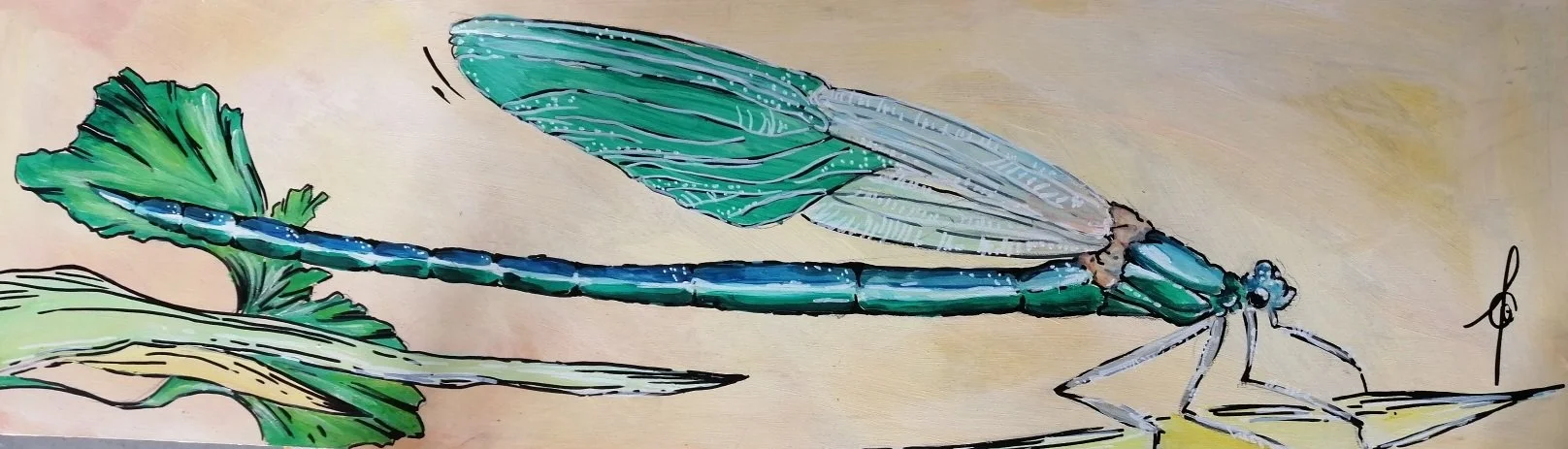 libellule fond jaune 2.jpg