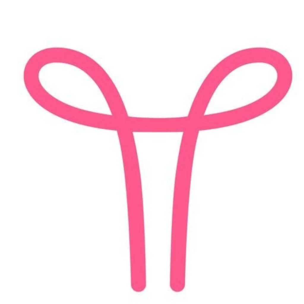 Pink wire loop and stick, shaped like a stylized figure