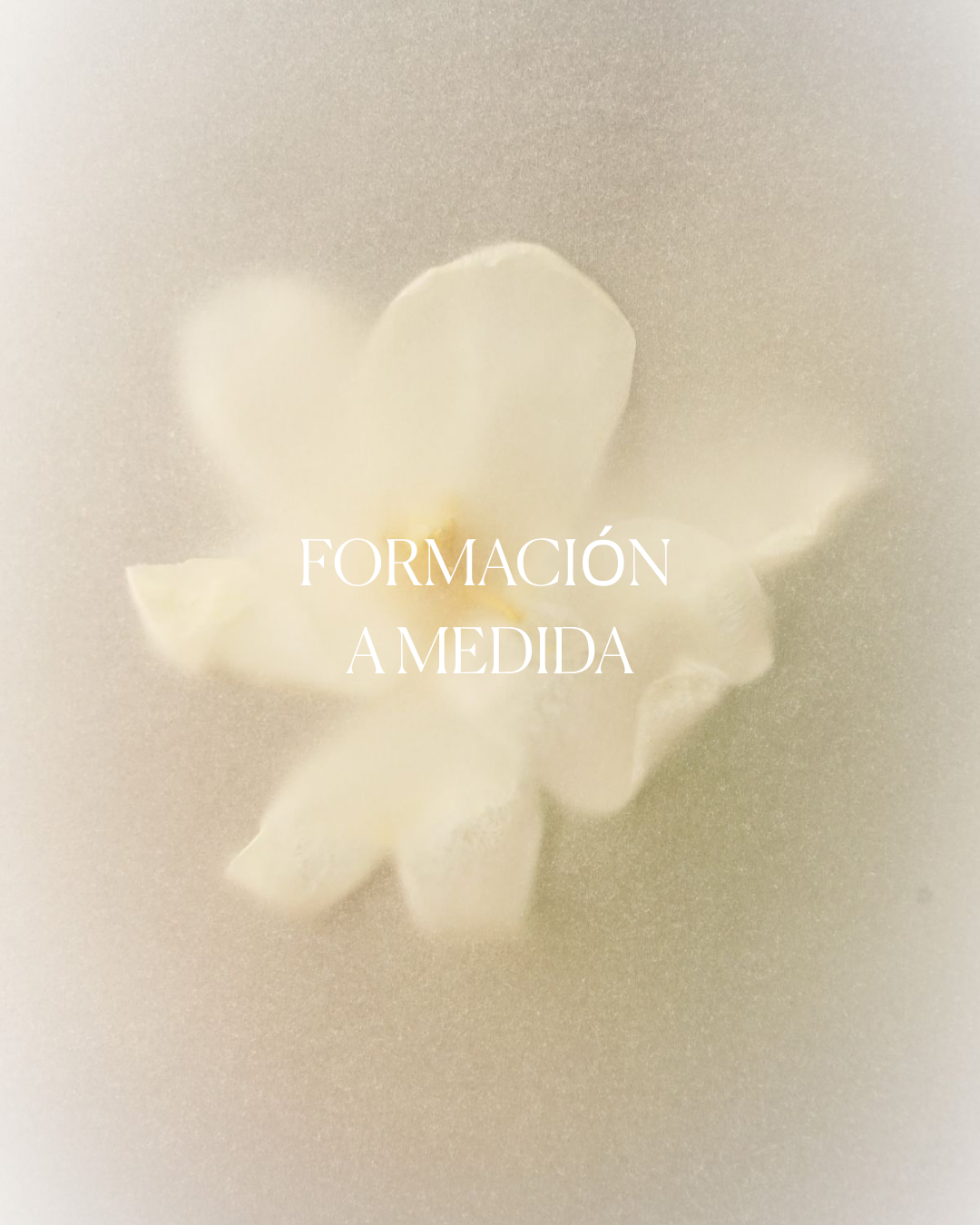 Formación a medida en comunicación consciente para marcas de belleza y bienestar