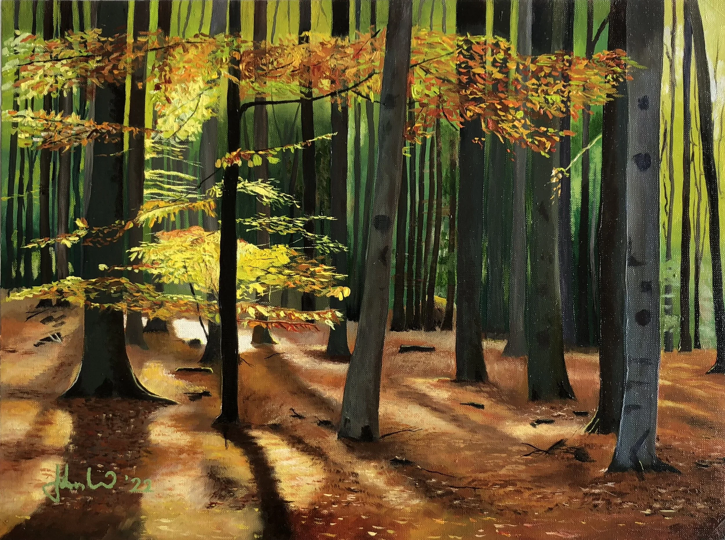 Beech woods, 2022