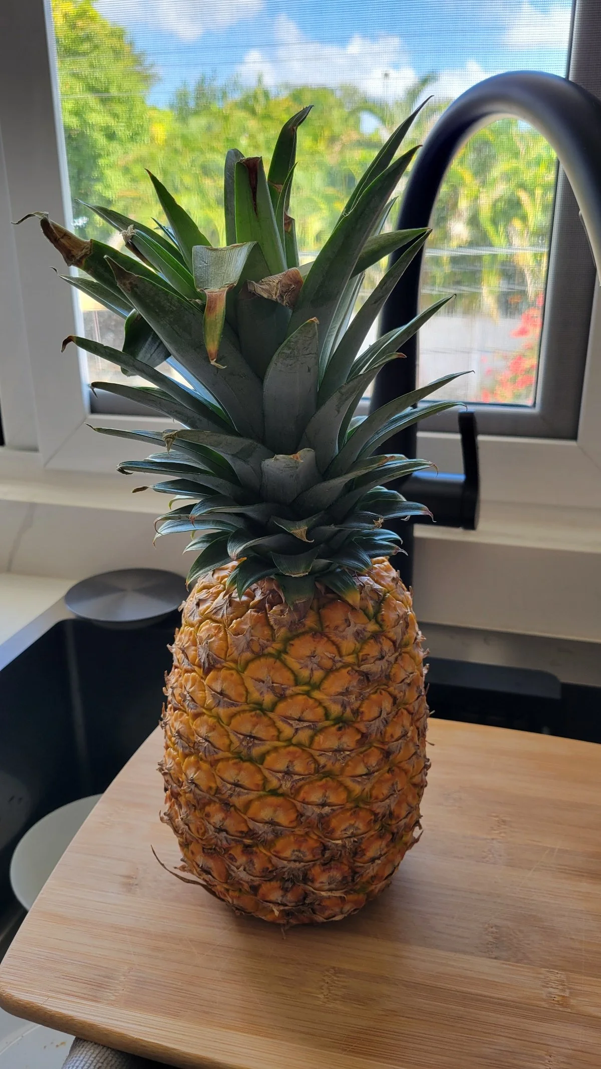 pineapple.jpg