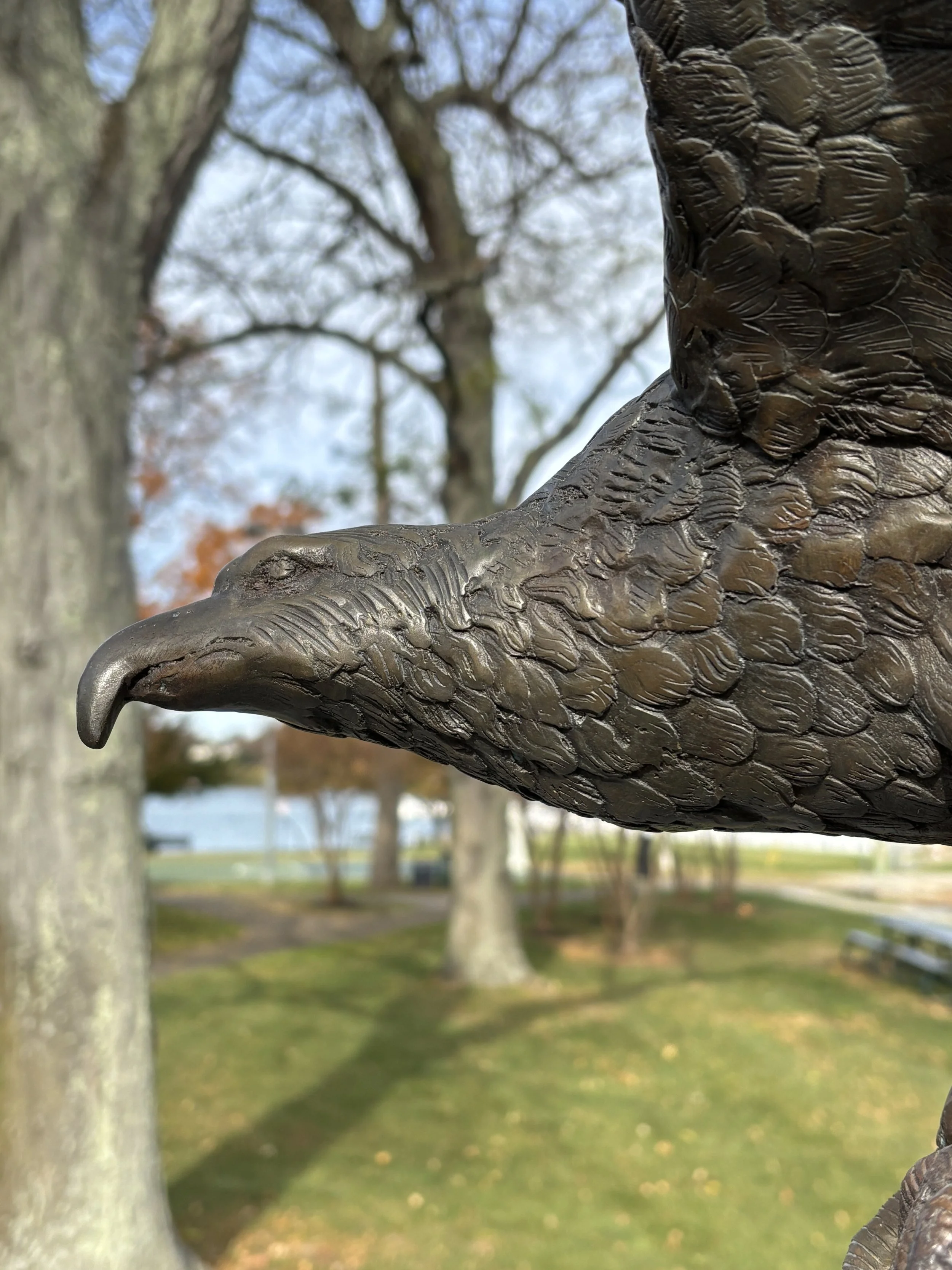 Rumson Veterans Memorial- Bronze Eagle