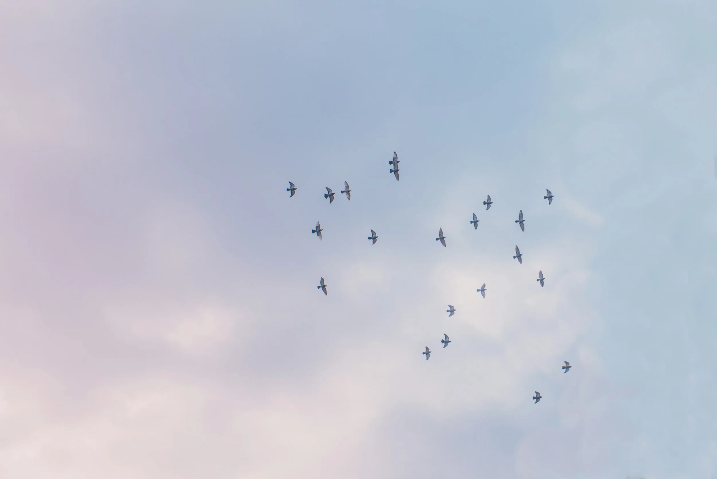 The 5-Email Church Guest Follow-Up Flow
