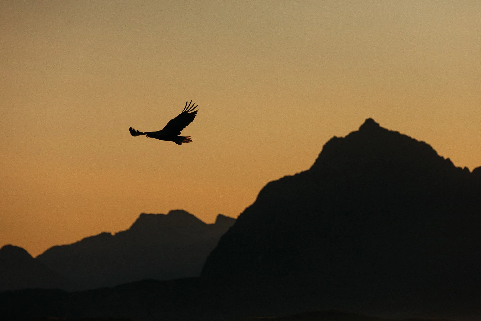 jp_baldus_lofoten_seakayaking_multi_day_expedition-10.jpg