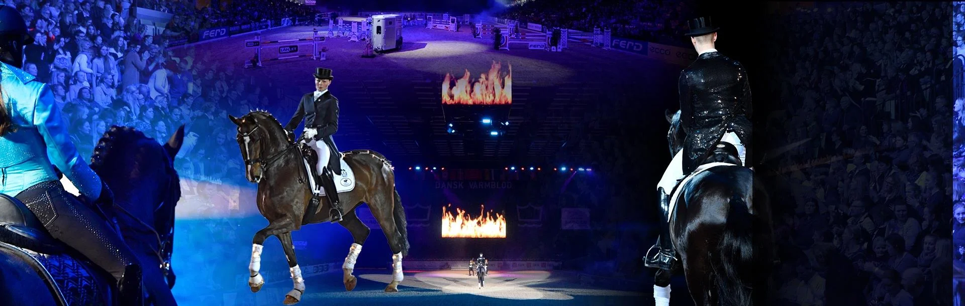 Hingstekåring Herning.jpg