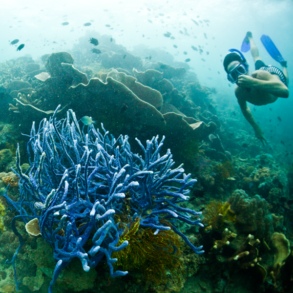 ©Scott-Sporleder-square-snorkeling-1-1.png