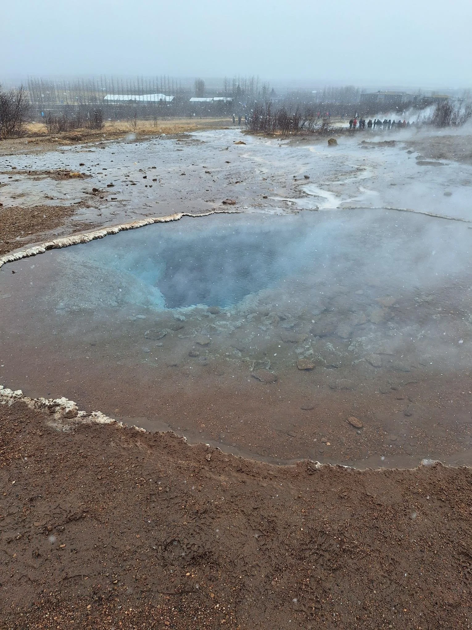 shared image (19).jpg