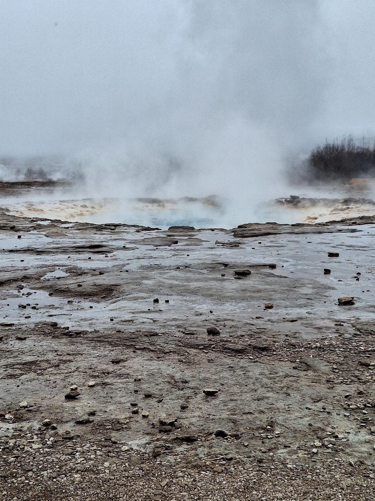 shared image (22).jpg