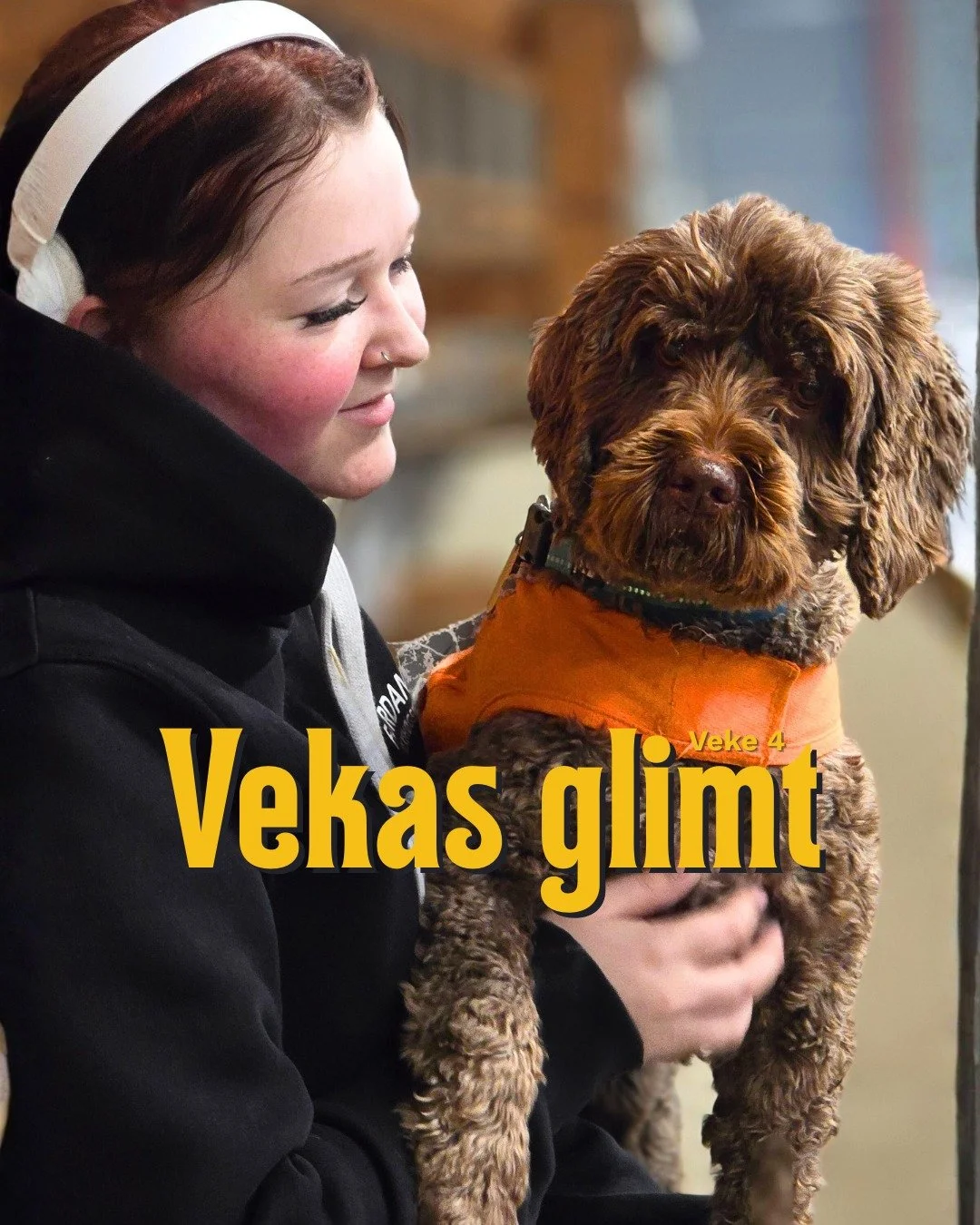 Vekas glimt veke 4 🌟
Veka har vore fylt med b&aring;de kvardagskos og nye inntrykk.

Det har blitt hundekos i stallen, vafler til frukost (ja takk!), og i valfag R&oslash;de Kors har elevane l&aelig;rt om hypotermi 🧊

Voltige-valfaget er i full svi