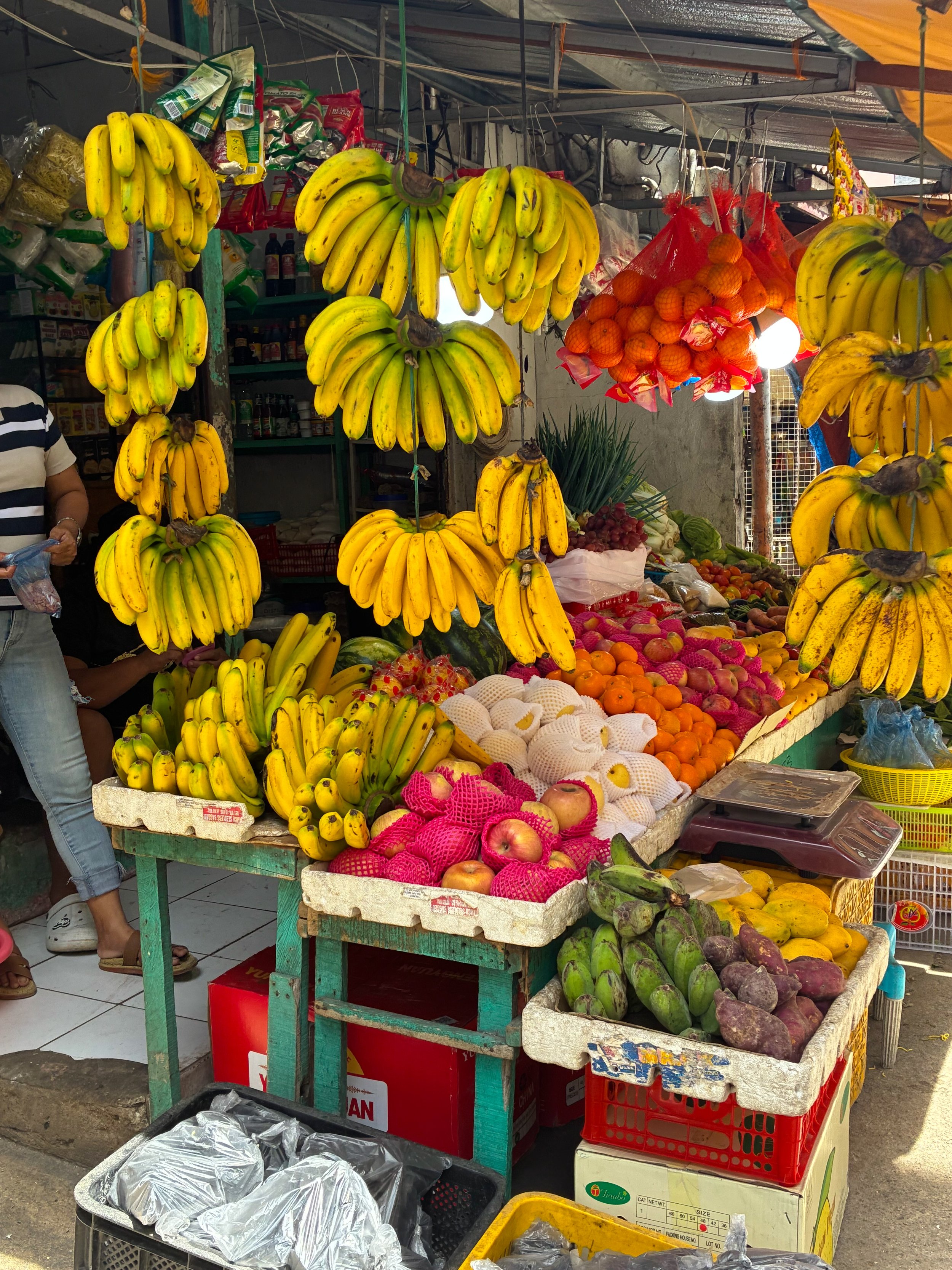 Utenlandstur til Filippinene_Fjordane_folkehøgskule_101.jpg