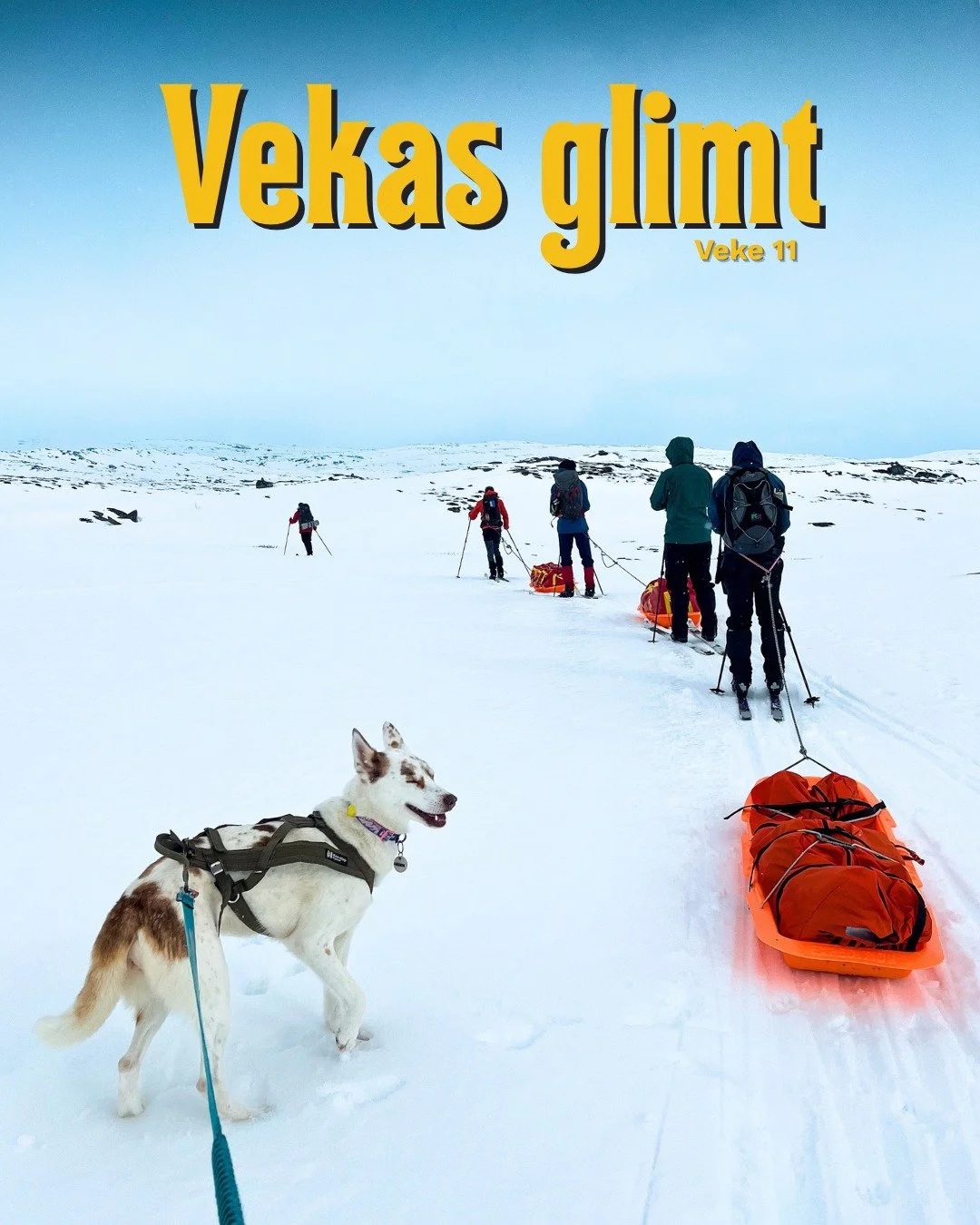 Vekas glimt veke 11 🌟
Den &aring;rlige Oskargallaen gikk av stabelen!  Elevane viste fram filmane dei har jobba med, og niv&aring;et var h&oslash;gt! Friluftsliv imponerte med sin eigen versjon av Frozen, filma ute p&aring; tur, og stakk av med pris