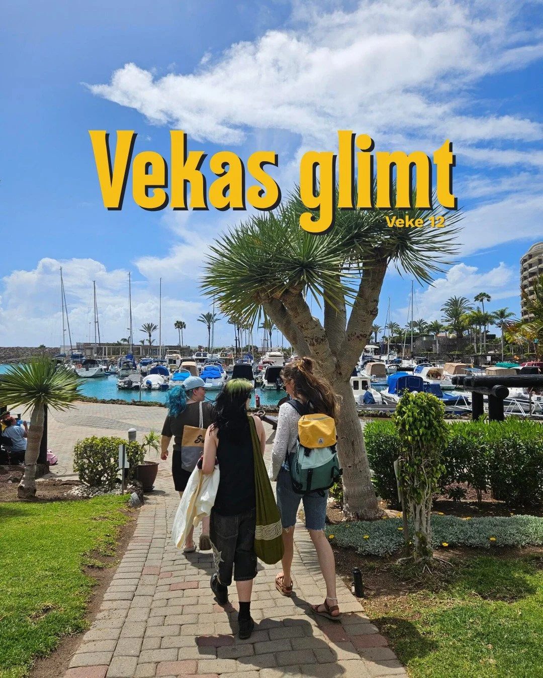 Vekas glimt veke 12 🌟

Veke 12 har vert full av reiselyst og store opplevingar! Hestelinjene har kome fram til Lisboa og f&aring;tt ri p&aring; vakre lusitanohestar, medan vikingliv har reist via museum i Oslo f&oslash;r turen gjekk vidare til Islan