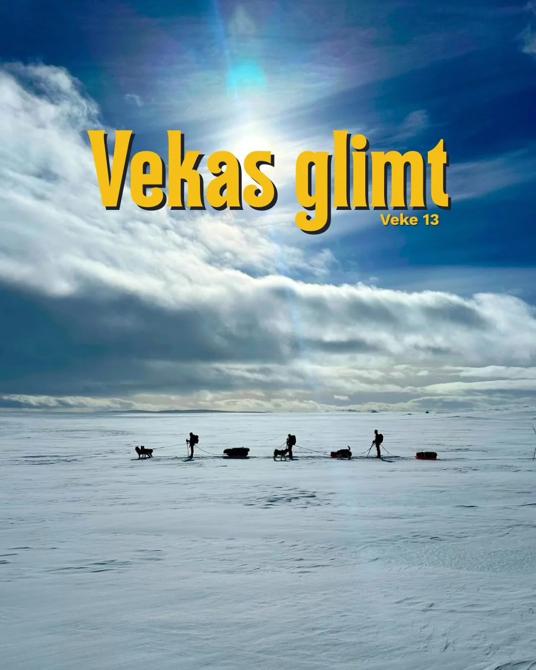 Week's Glimpse Week 13✨ Week 13 has been full of hikes, adventures and bad weather. Outdoor life has been on a trip across the Hardangervidda plateau, while the equestrian class has enjoyed themselves further in Portugal. Vikingliv has explored the Golden Circle and ridden on the island