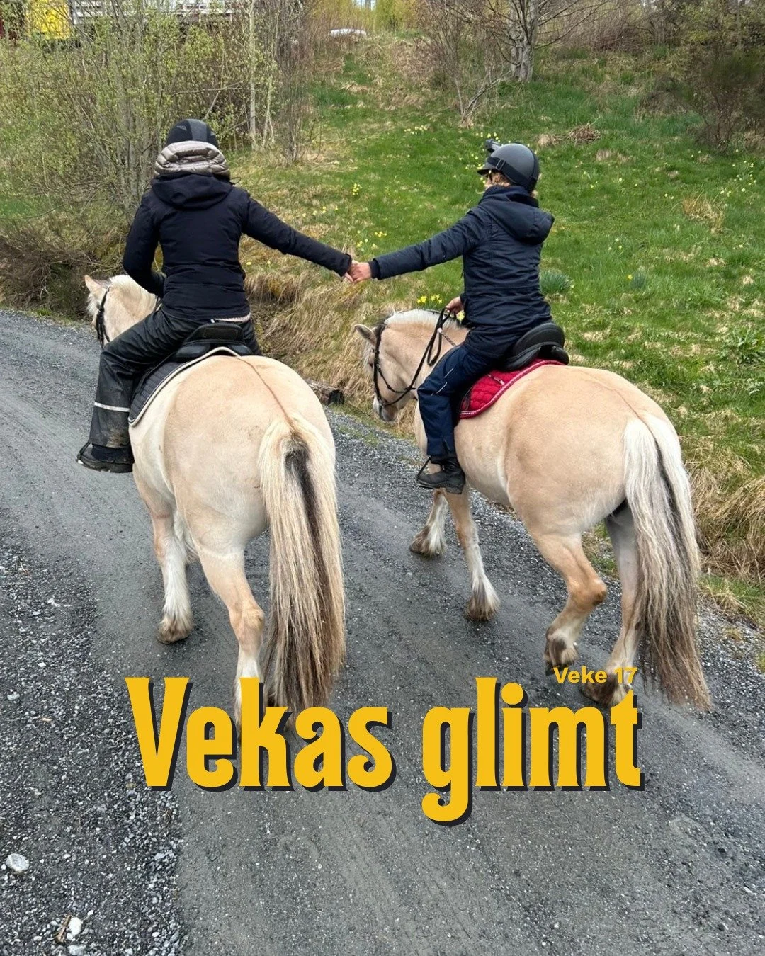 Vekas glimt veke 17 🌟
No n&aelig;rmar det seg slutten av skule&aring;ret! Veka har g&aring;tt med til v&aring;rreingjering av b&aring;de uteomr&aring;det og hestehengarar, med godt hum&oslash;r heile vegen. Hesteklassene har hatt sprang- og dressurs